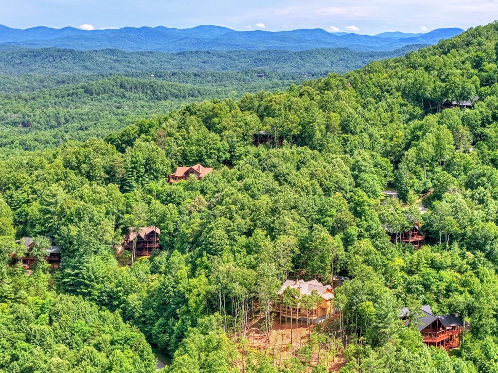 Mineral Bluff, Georgia, 30559, United States, 4 Bedrooms Bedrooms, ,4 BathroomsBathrooms,Residential,For Sale,1871299