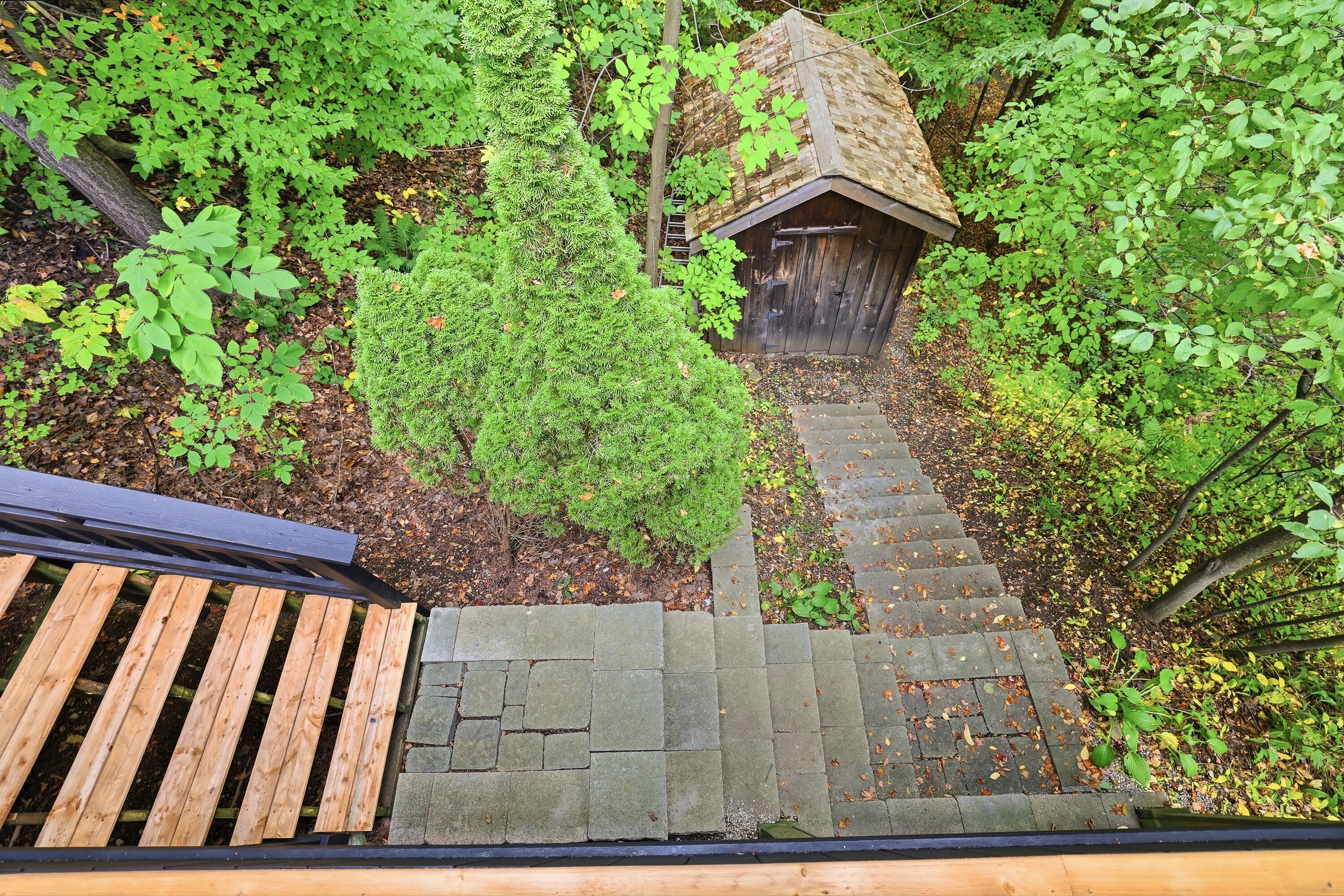  Craigleith Hillside Chalet - 物件實景