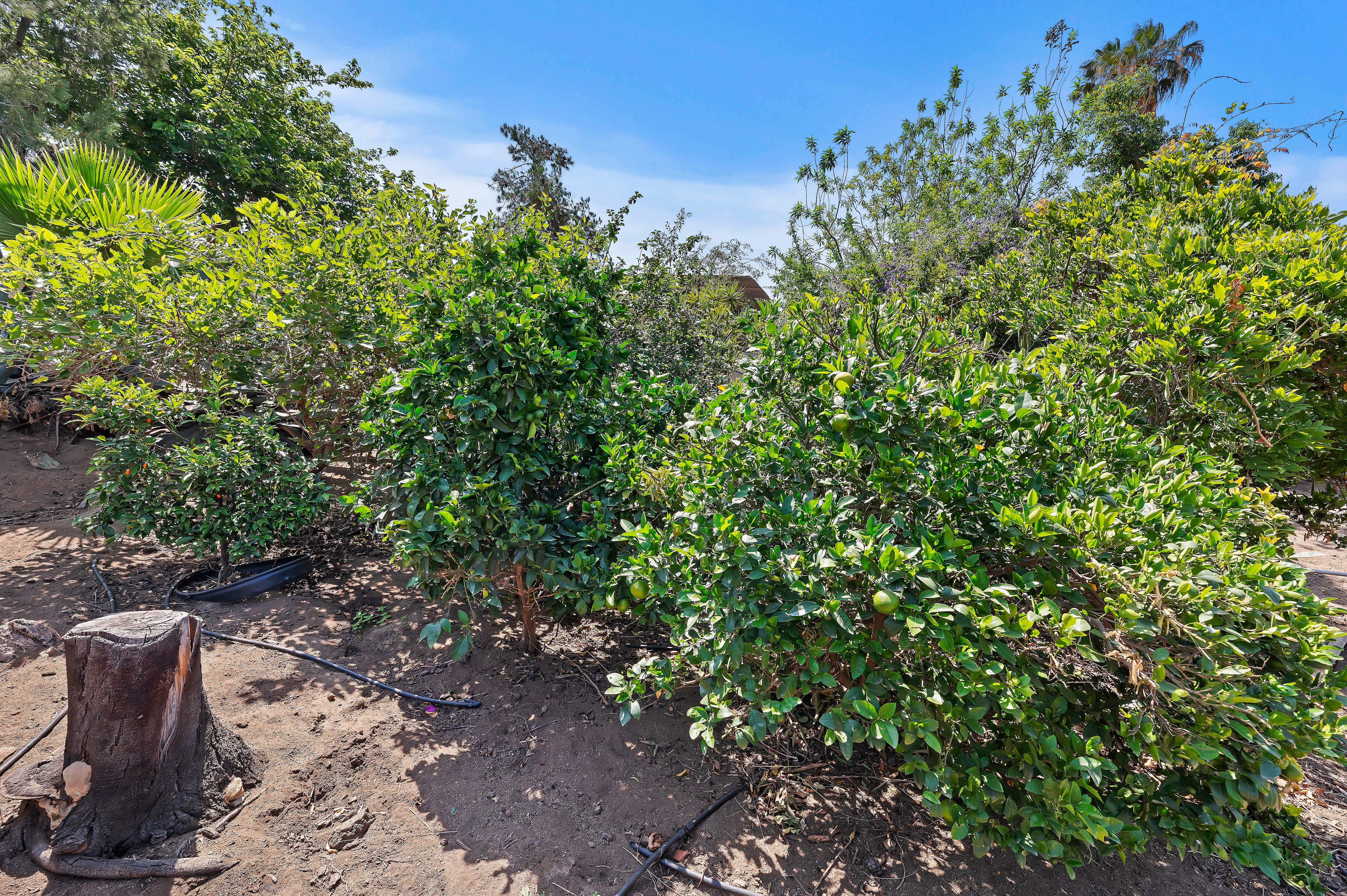  115 East Street, Norco, CA 92860 - 物件實景