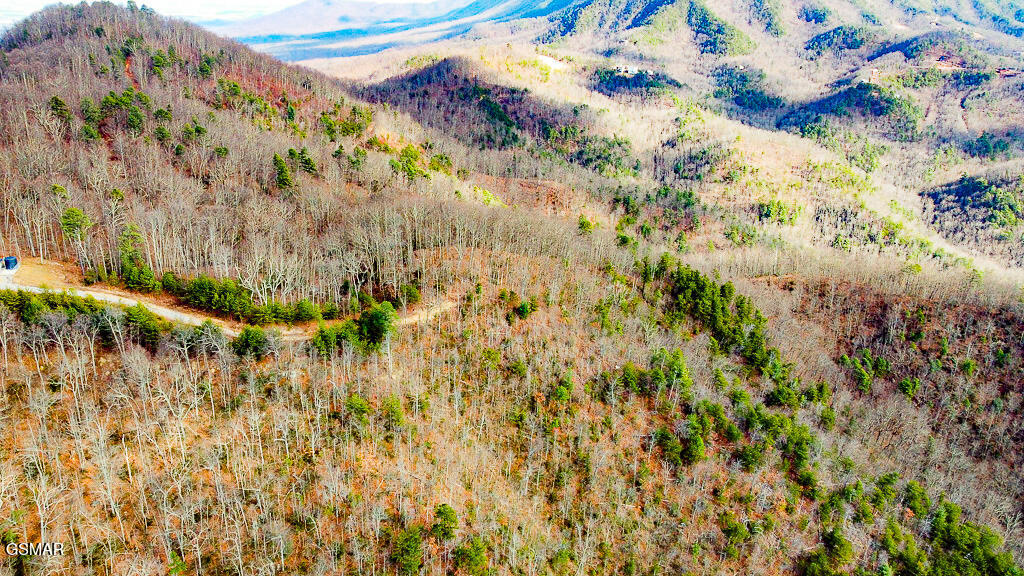 Sevierville, Tennessee, 37876, United States, ,Land,For Sale,2009102