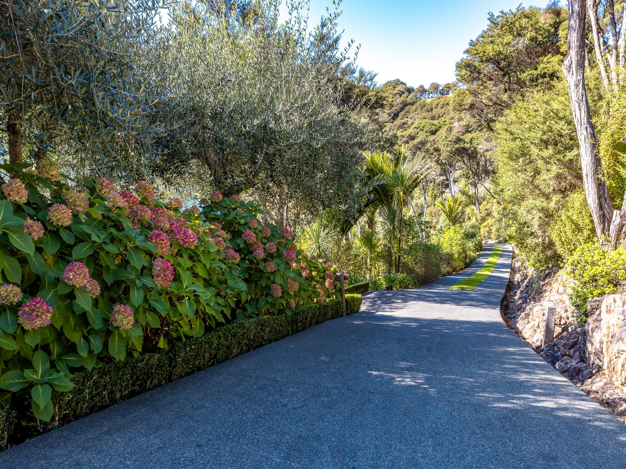  729 Orapiu Road, Waiheke Island - 物件實景