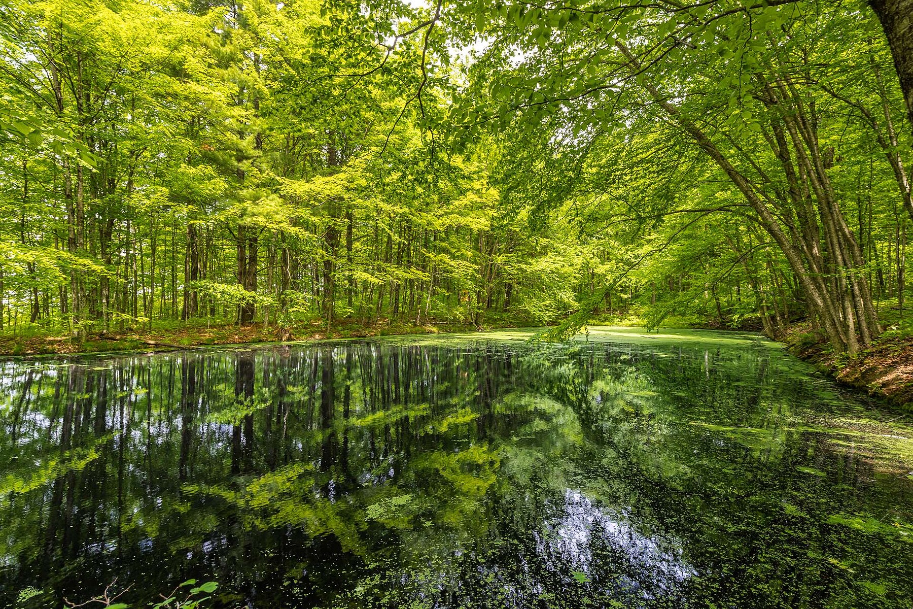 Dunham, Eastern Townships - 物件實景