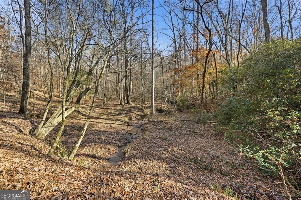 Jasper, Georgia, 30143, United States, ,Land,For Sale,1996551