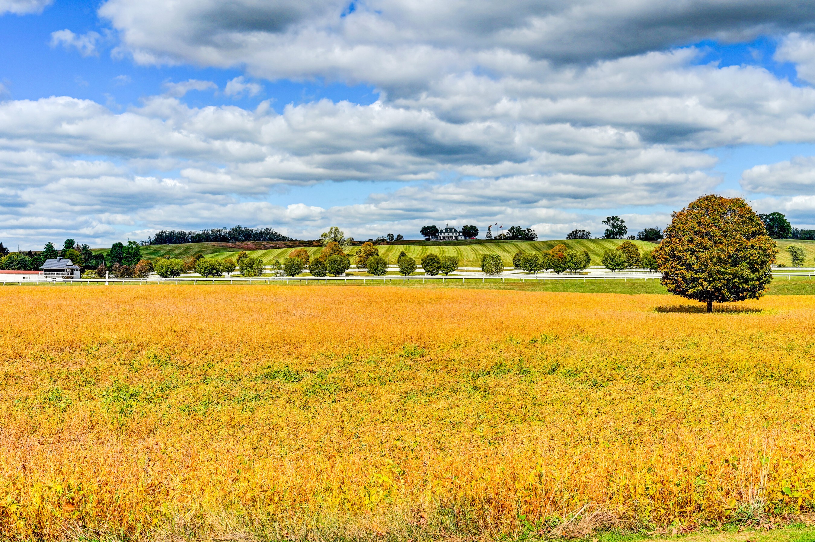  Worthington Valley - 物件實景