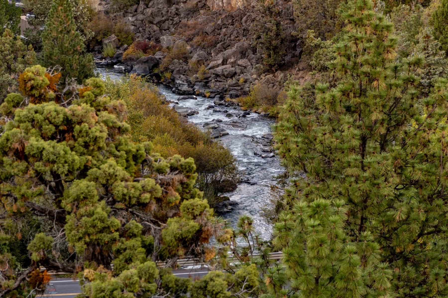  885 NW Chelsea Loop Bend, OR 97703 - 物件實景