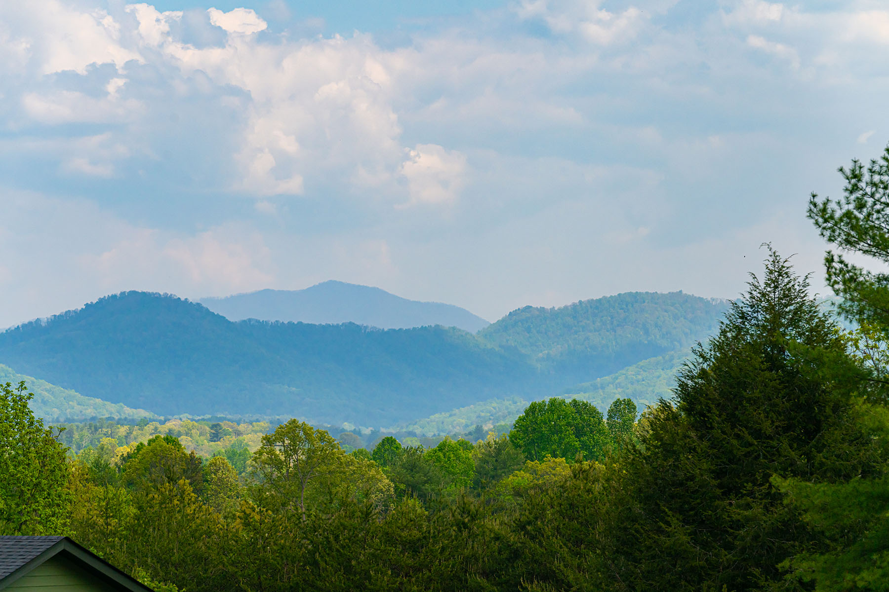  WEAVERVILLE - 物件實景
