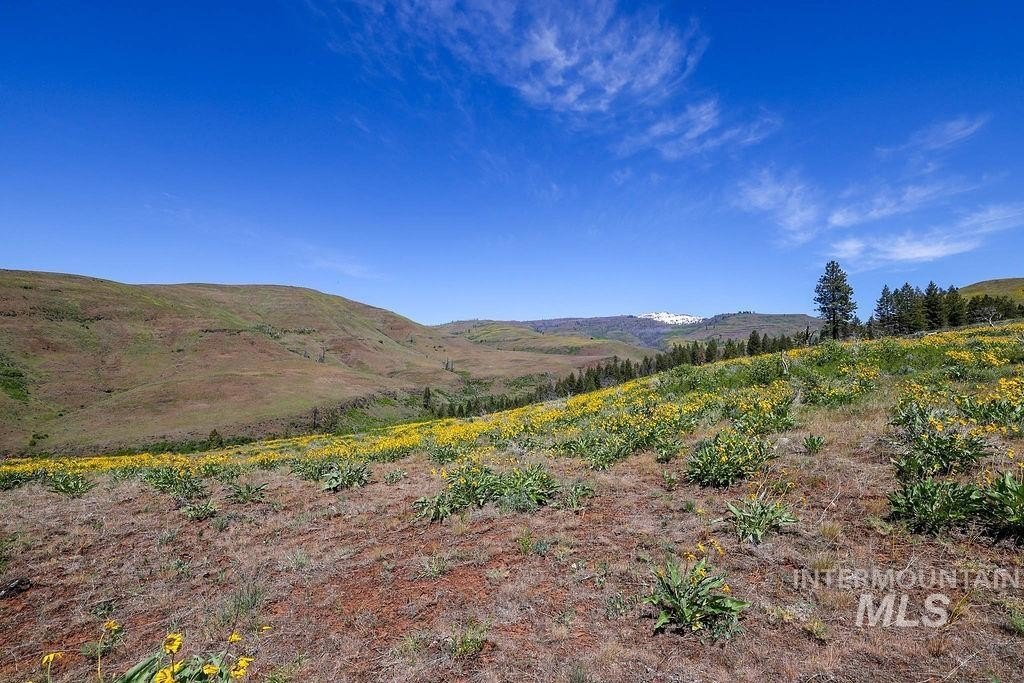 Council, Idaho, 83612, United States, ,Residential,For Sale,1862004