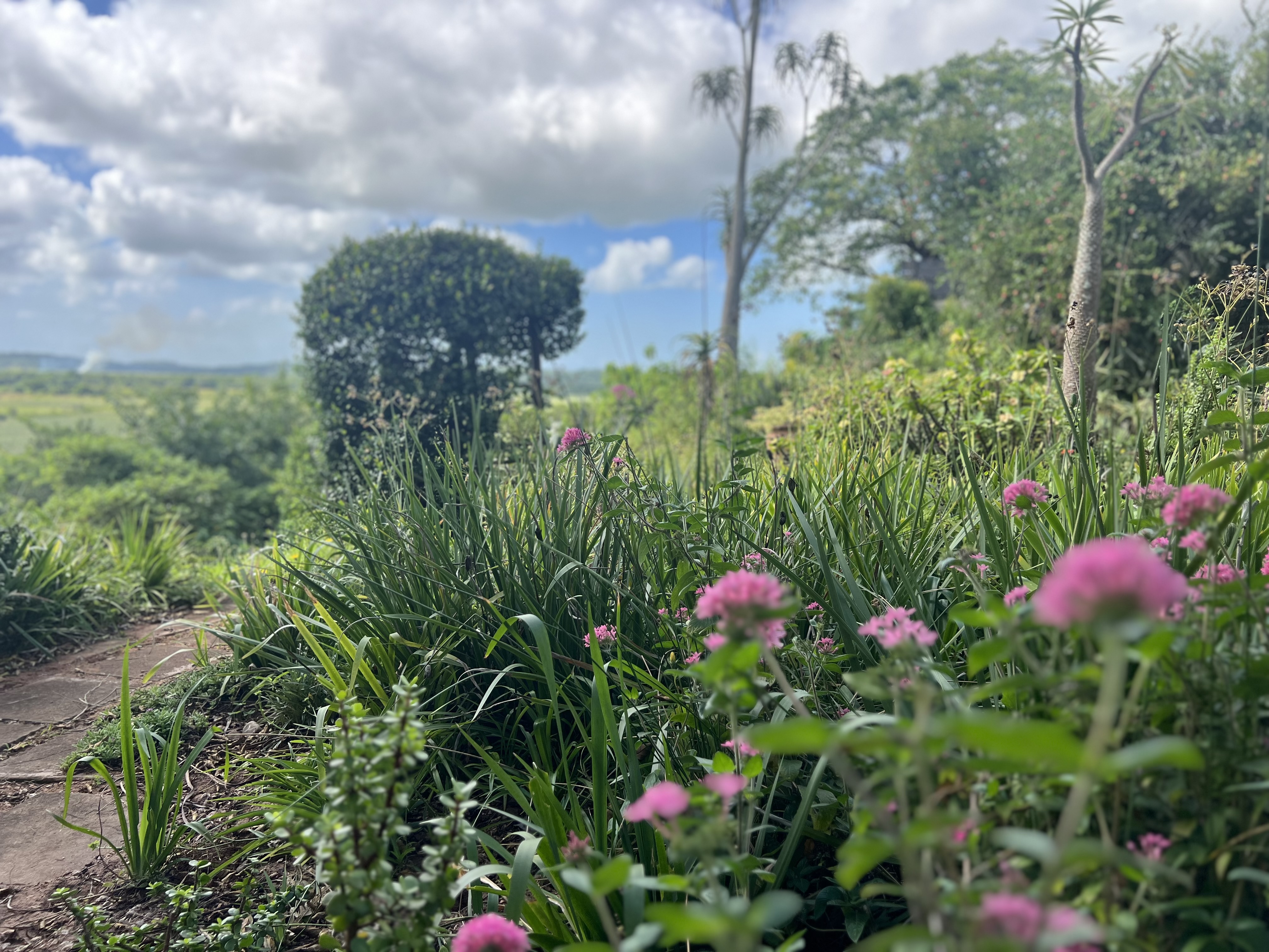  Meticulously maintained home with thoughtfully curated living spaces - 物件實景