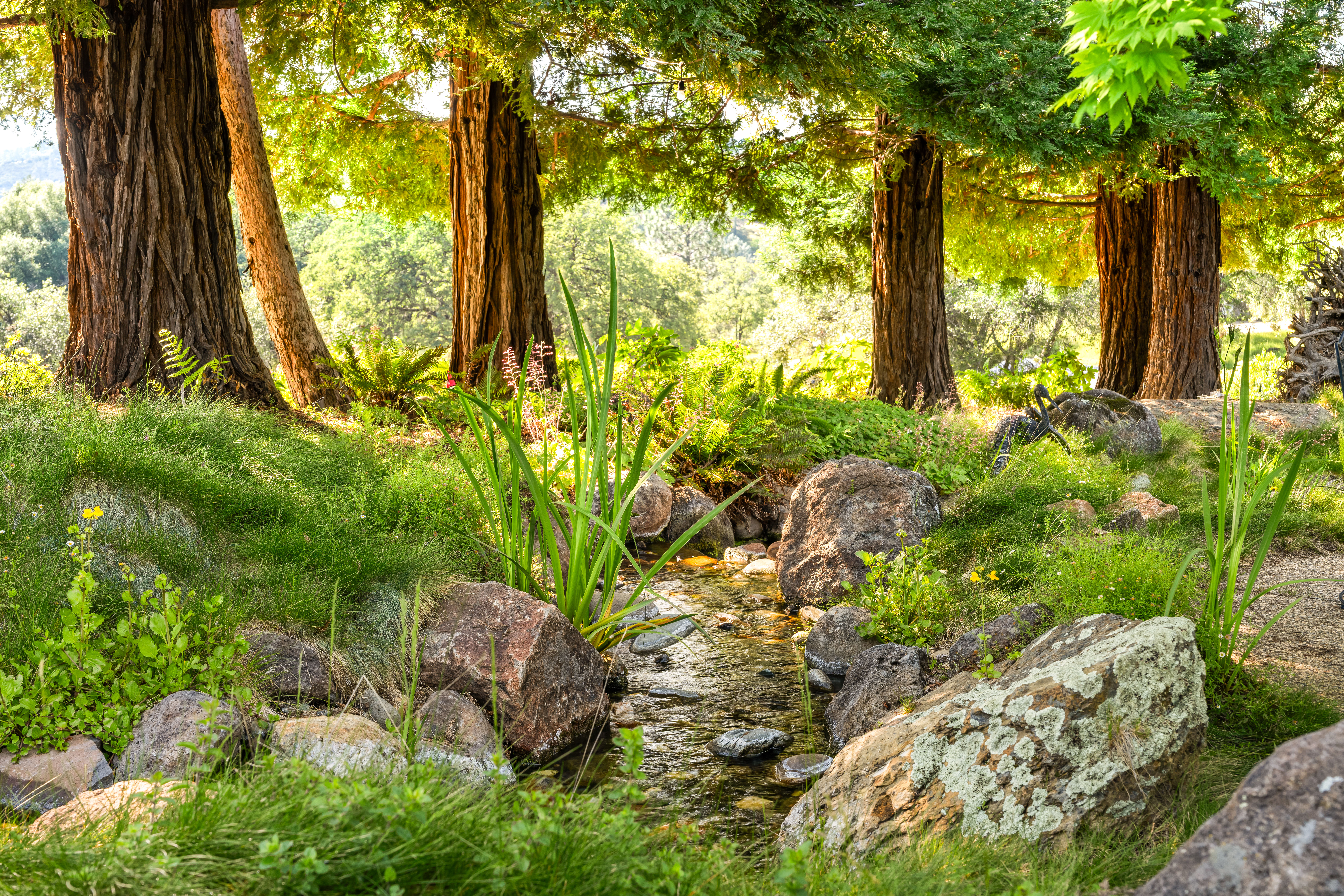  5670 China Hill Road, El Dorado, CA 95623 - 物件實景
