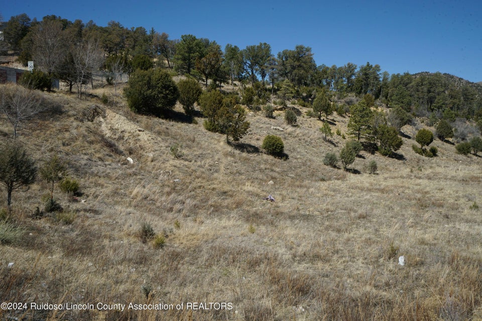 Ruidoso, New Mexico, 88345, United States, ,Land,For Sale,1978537