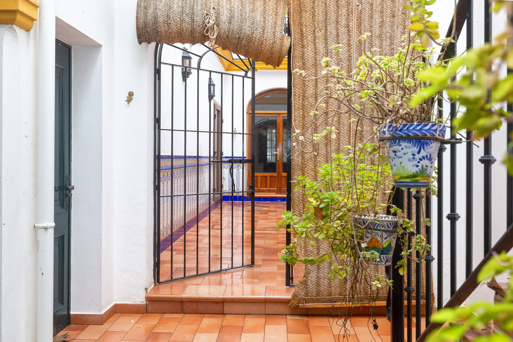  Detached home with character and equestrian area in El Rocío - 物件實景