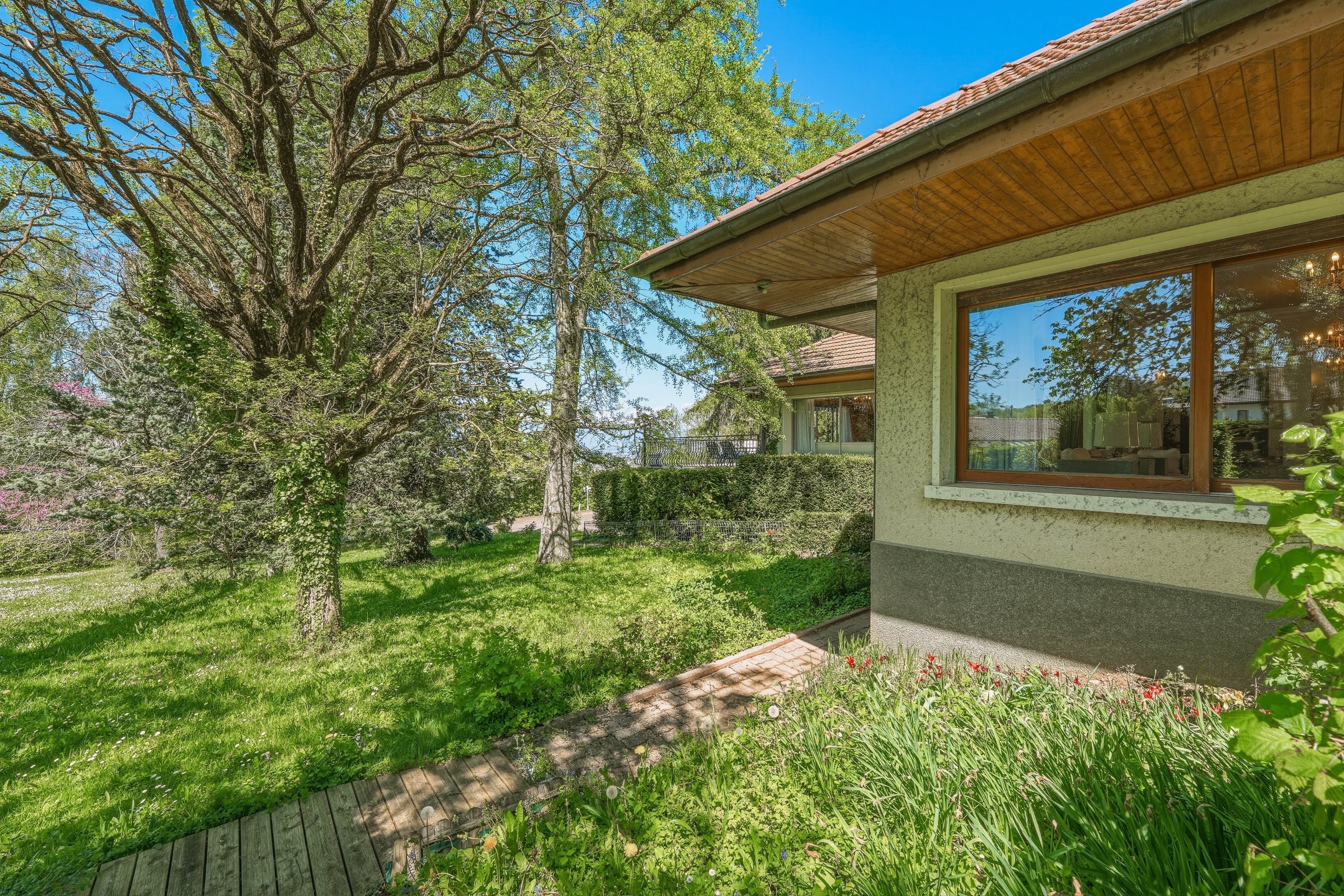  Large property on the Swiss border - 物件實景