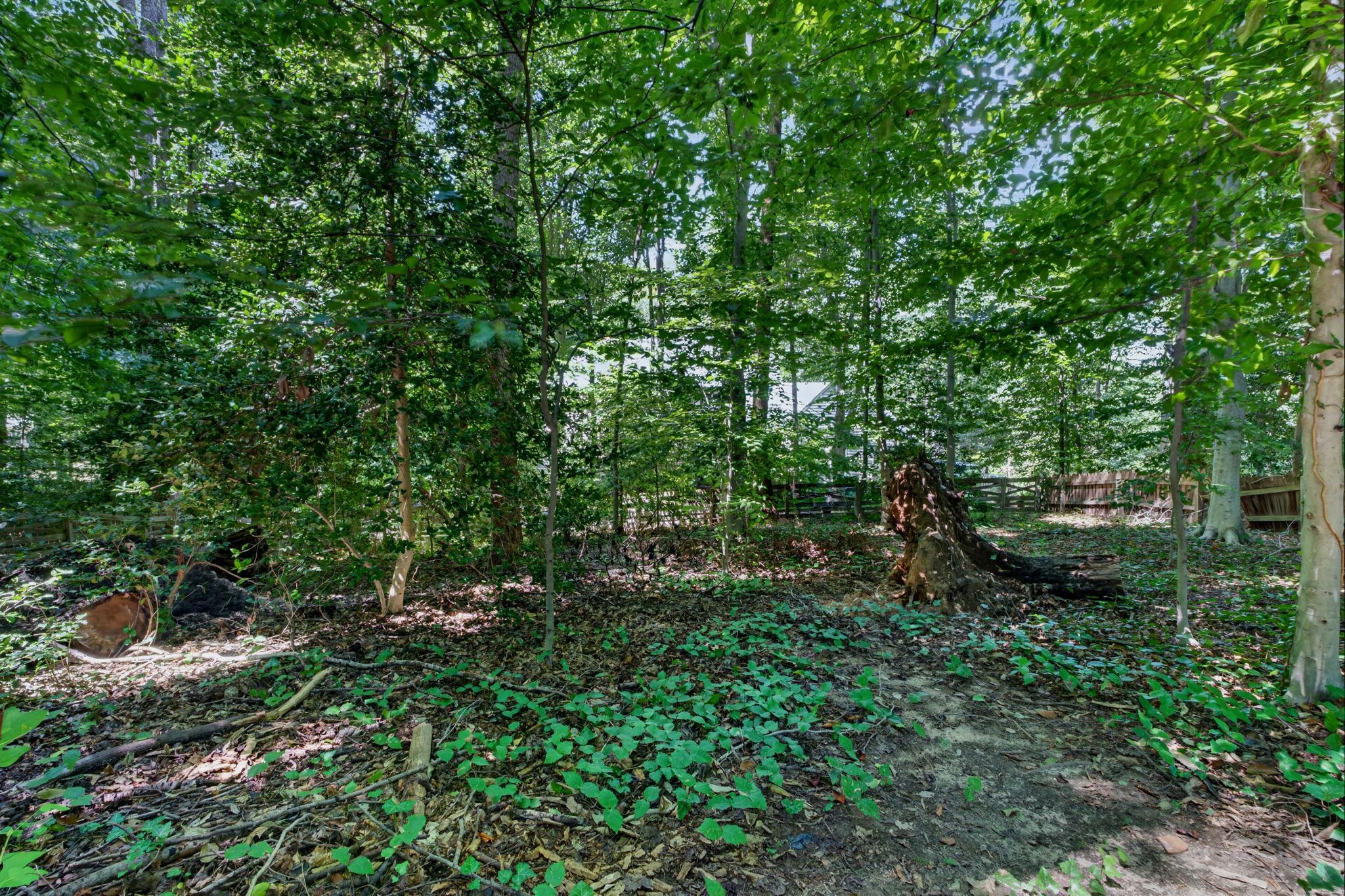  12154 Darnley Road, Woodbridge, VA, 22192 - 物件實景