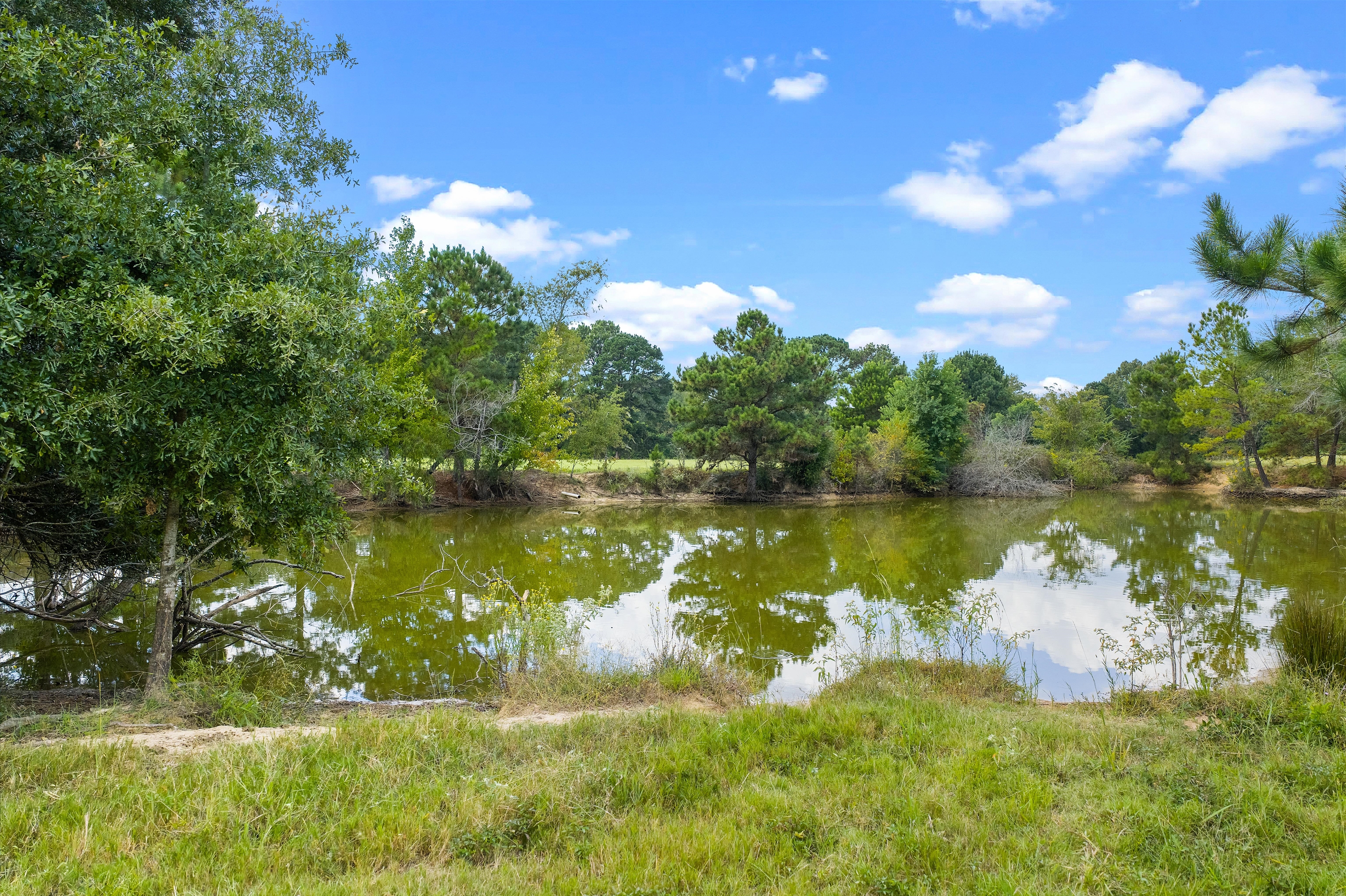 Henderson, Texas, 75654, United States, 3 Bedrooms Bedrooms, ,2 BathroomsBathrooms,Residential,For Sale,1983908