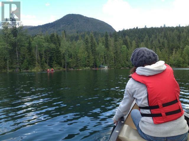 WELLS GRAY, British Columbia, V0E 1N1, CA, 1 Bedroom Bedrooms, ,1 BathroomBathrooms,Residential,For Sale,1838822