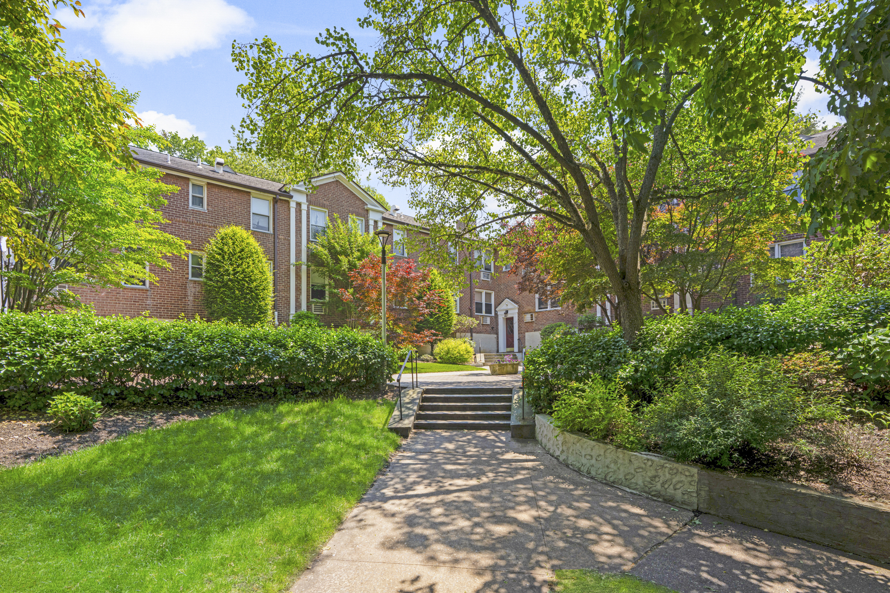  Beautiful Palmer Terrace Co-op - 物件實景
