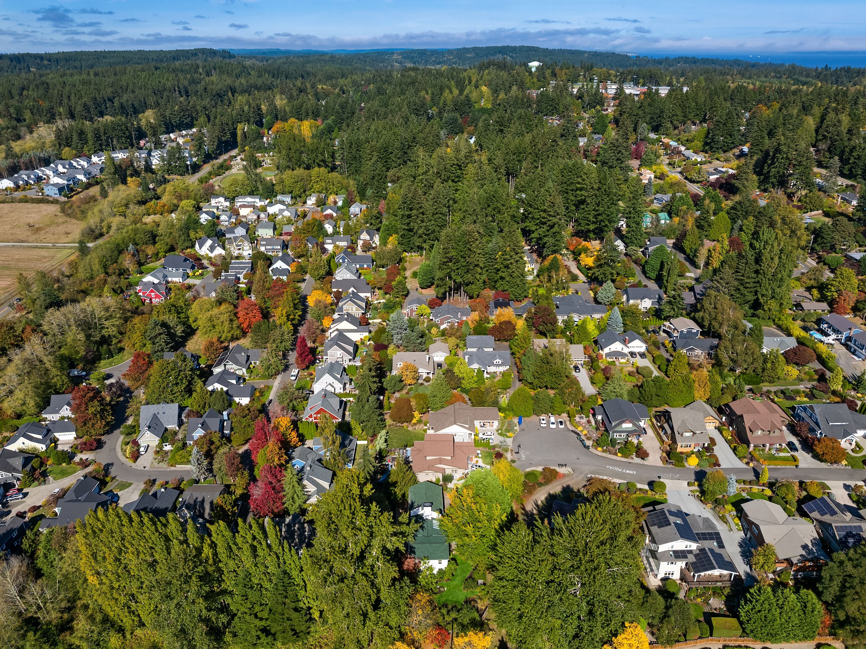  689 Pierce Court Northwest, Bainbridge Island, WA 98110 - 物件實景