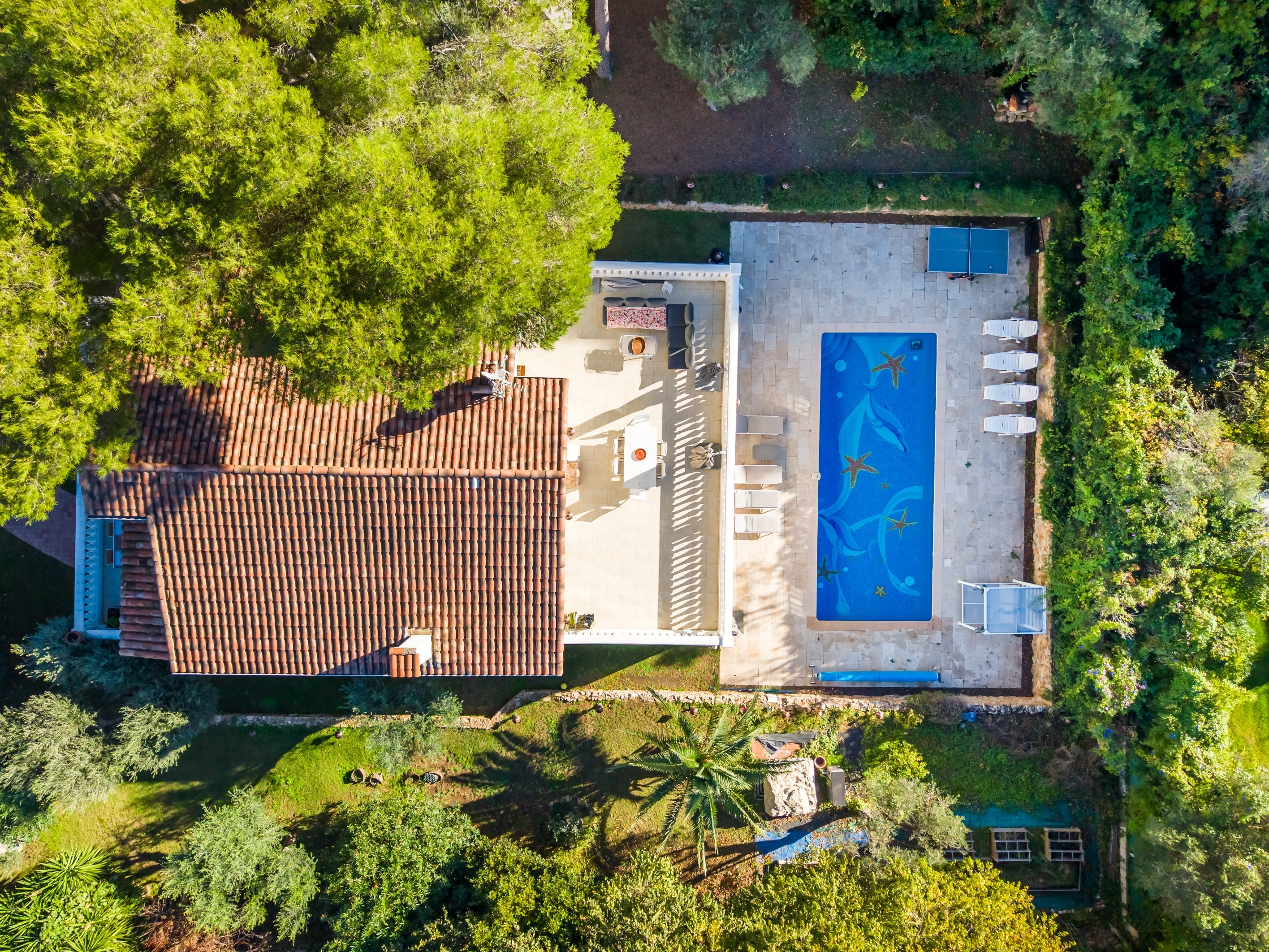  Cap d’Antibes: luxury villa renovated near plage de la Garoupe - 物件實景