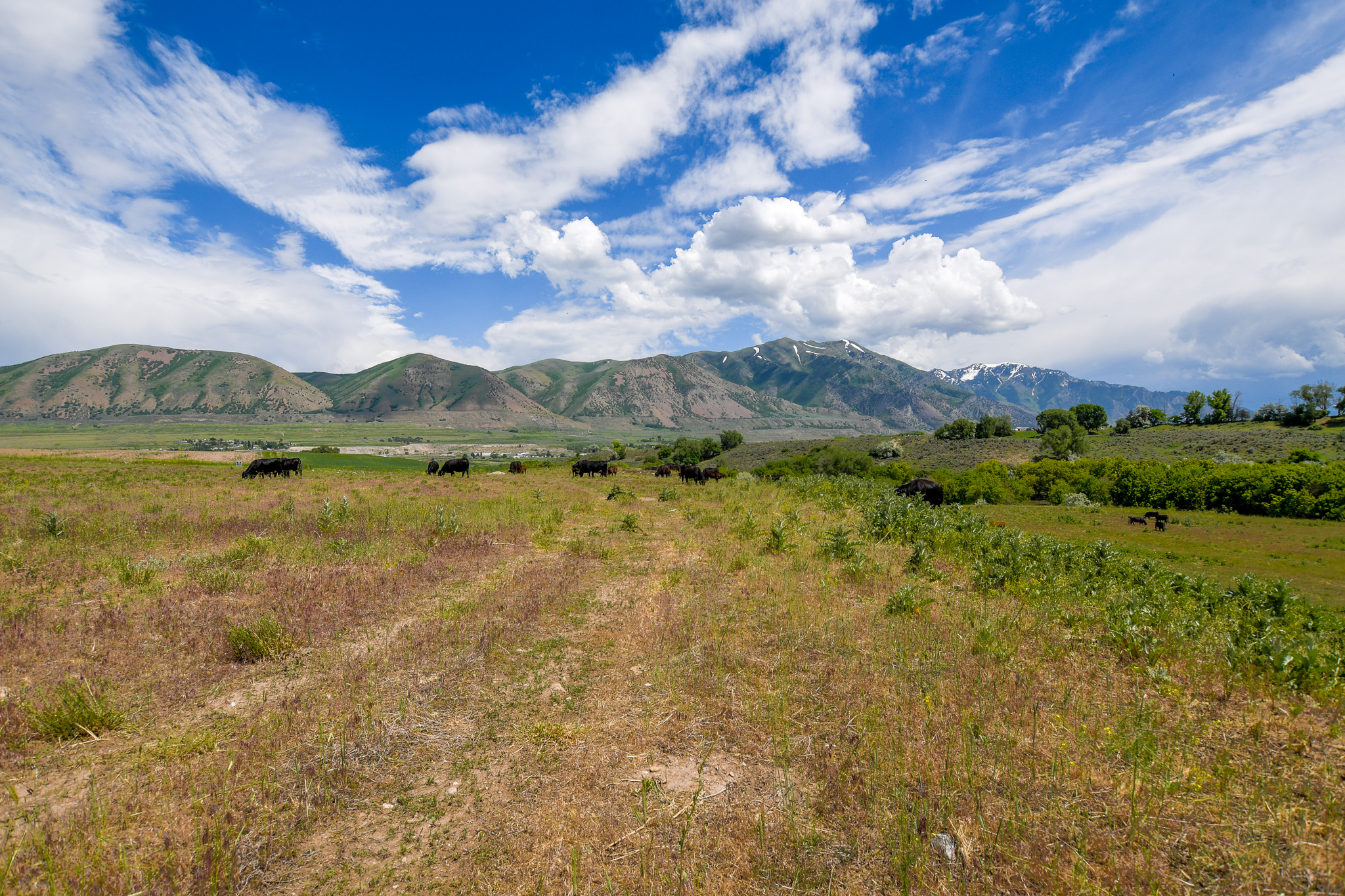 Deweyville, Utah, 84309, United States, ,Land,For Sale,1848401