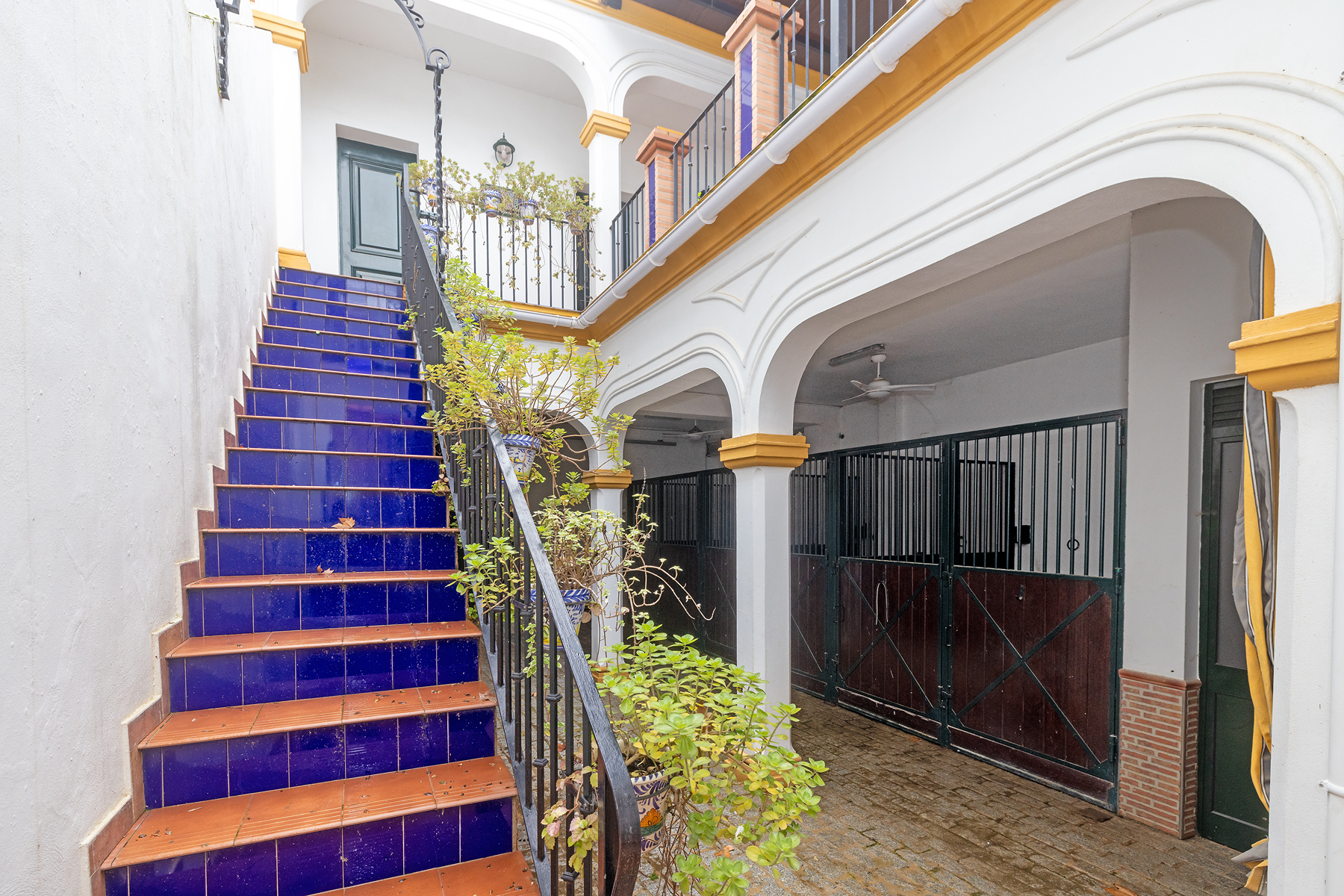  Detached home with character and equestrian area in El Rocío - 物件實景