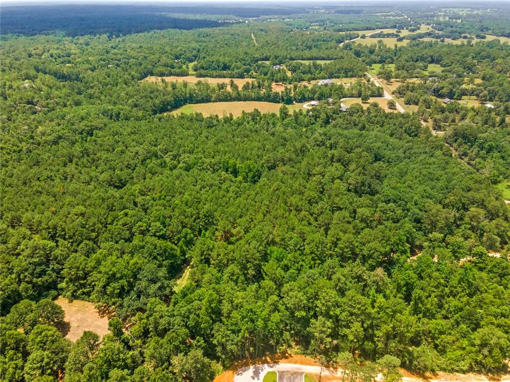 Bush, Louisiana, 70431, United States, ,Land,For Sale,1987560