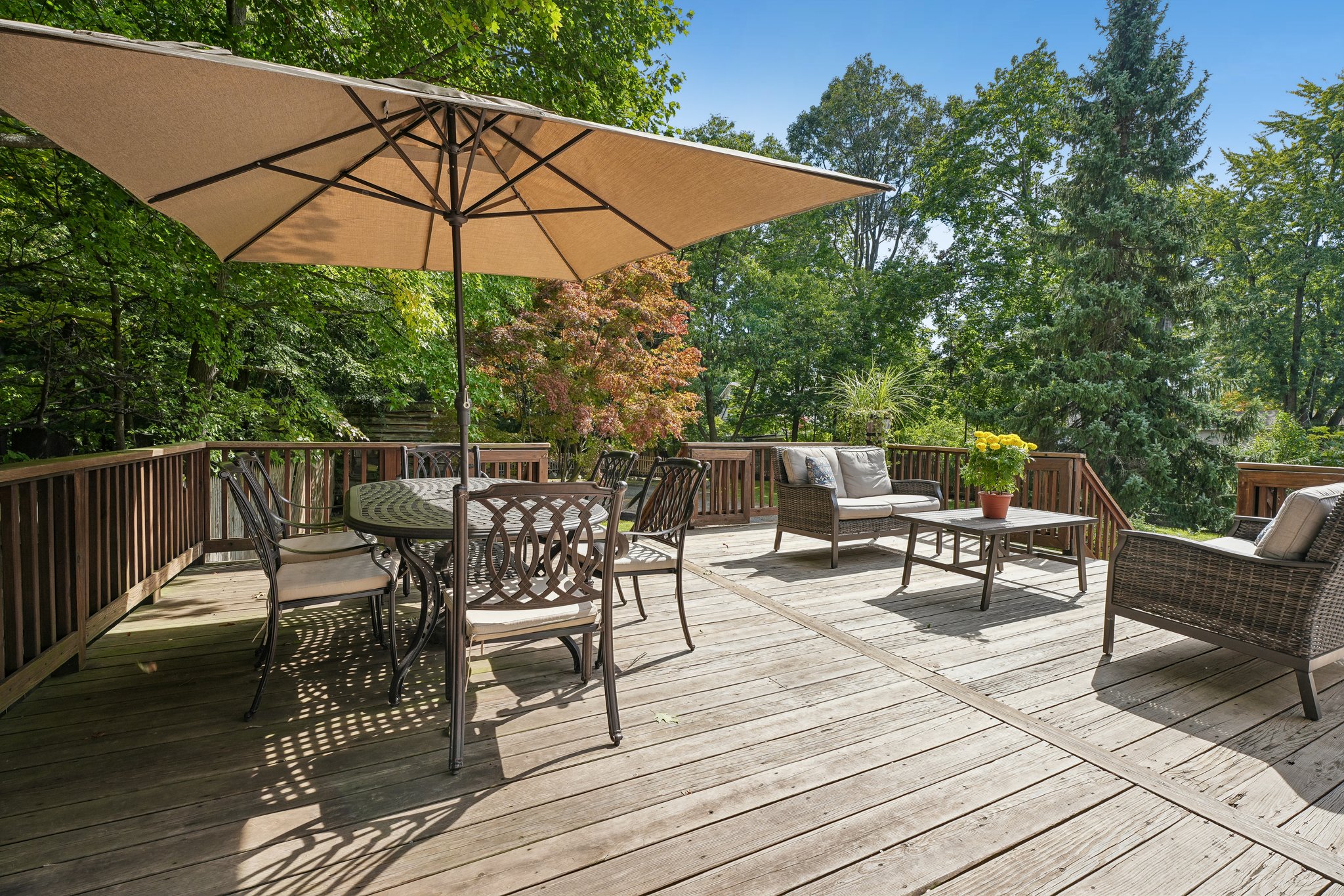  439 Grove Street, Montclair, NJ 07043 - 物件實景