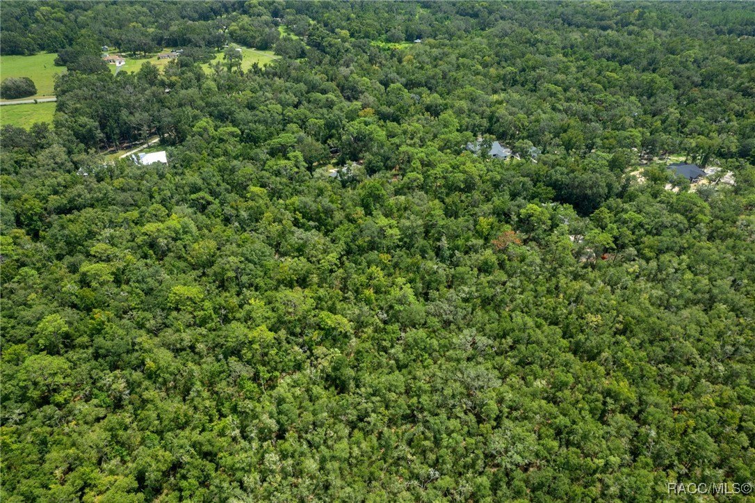 Brooksville, Florida, 34601, United States, 3 Bedrooms Bedrooms, ,2 BathroomsBathrooms,Residential,For Sale,1980591