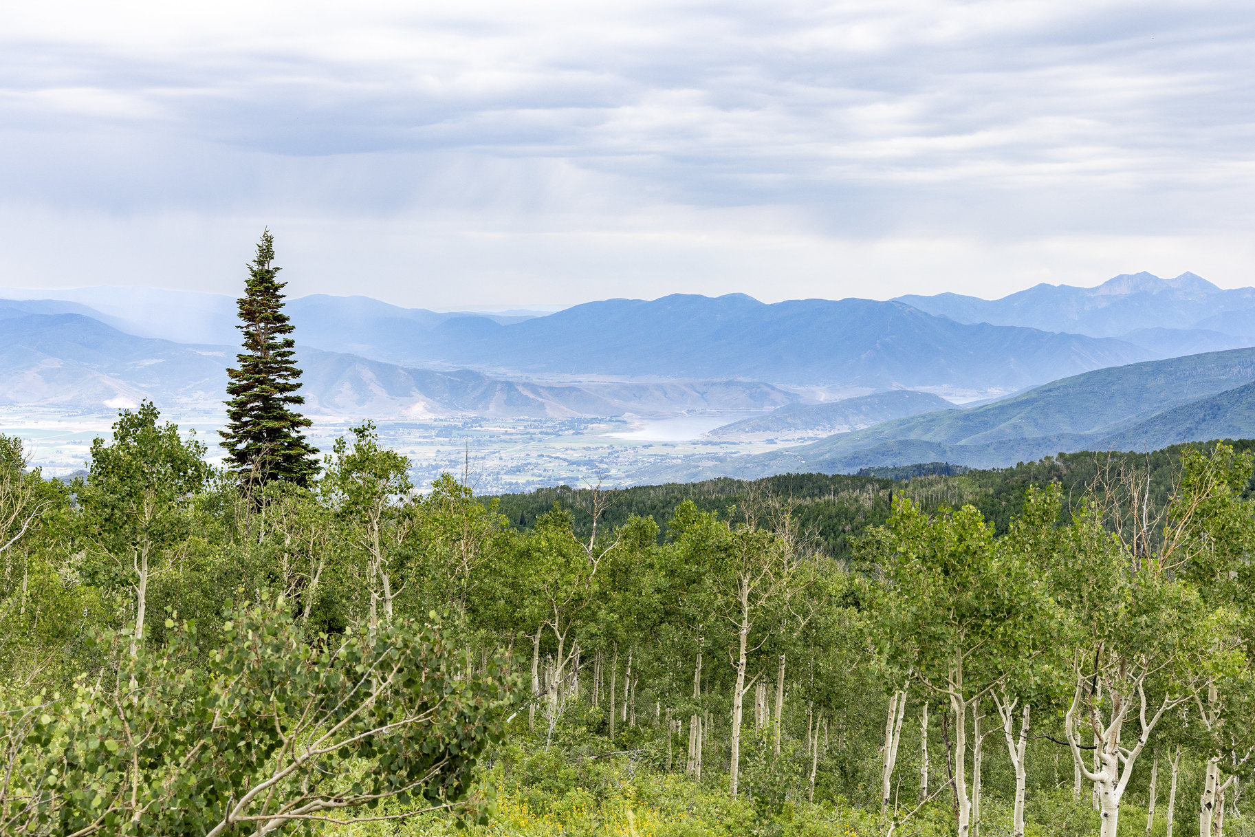 24 Acre Development Parcel in Bonanza Flats - 物件實景