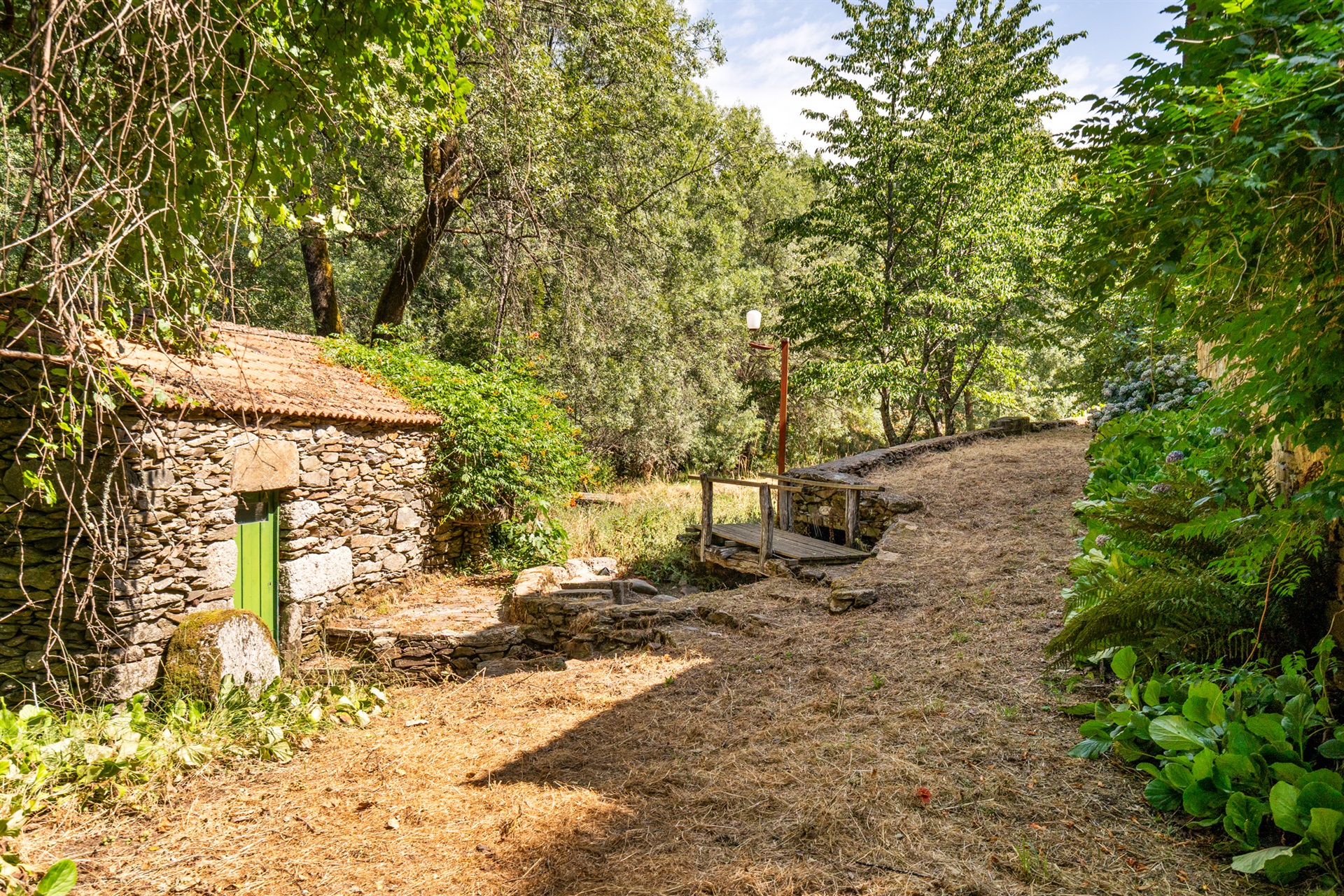  Farm, 5 bedrooms, for Sale - 物件實景
