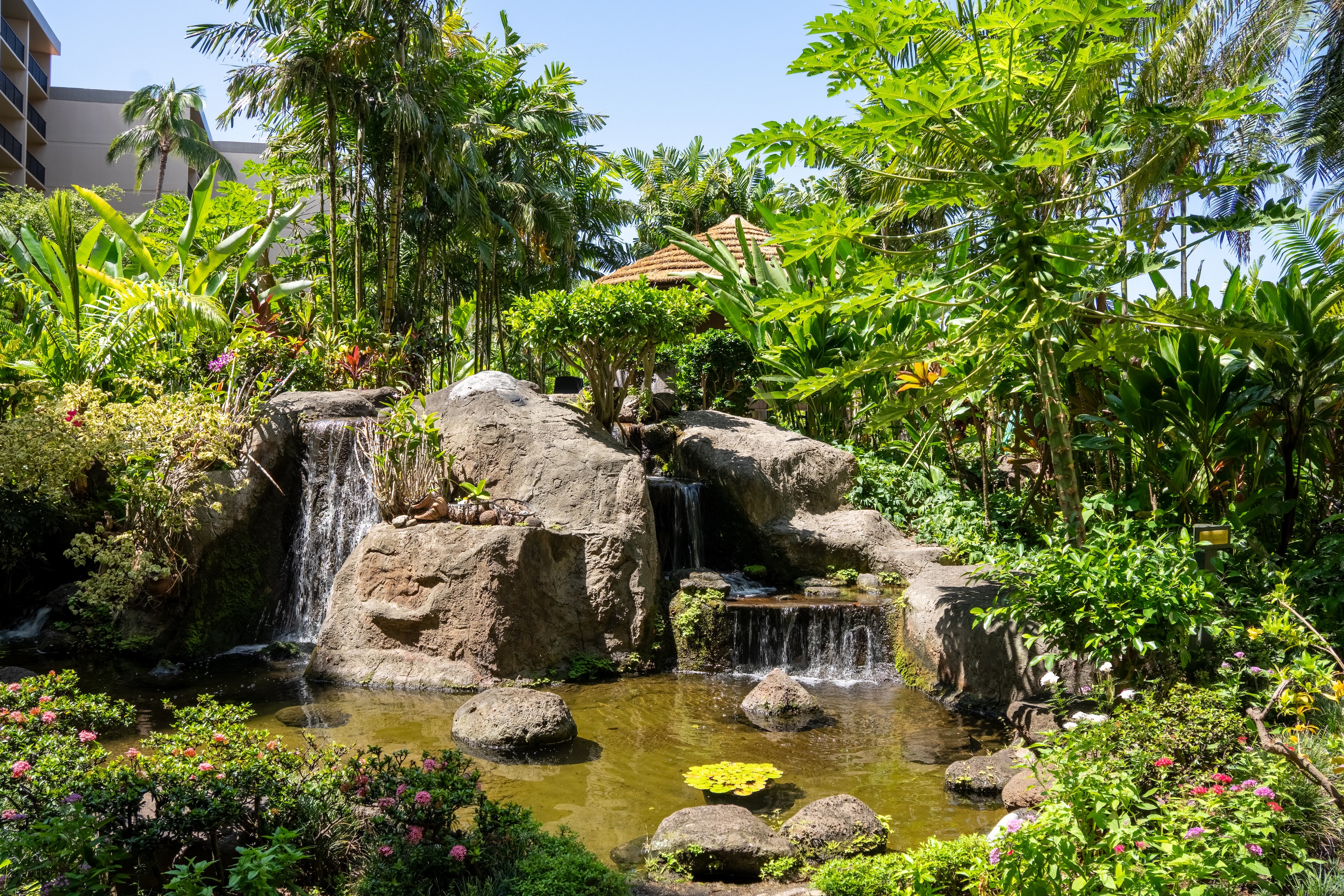  Roomy 2-Bedroom Beachfront Condo in Kaanapali - West Maui - 物件實景