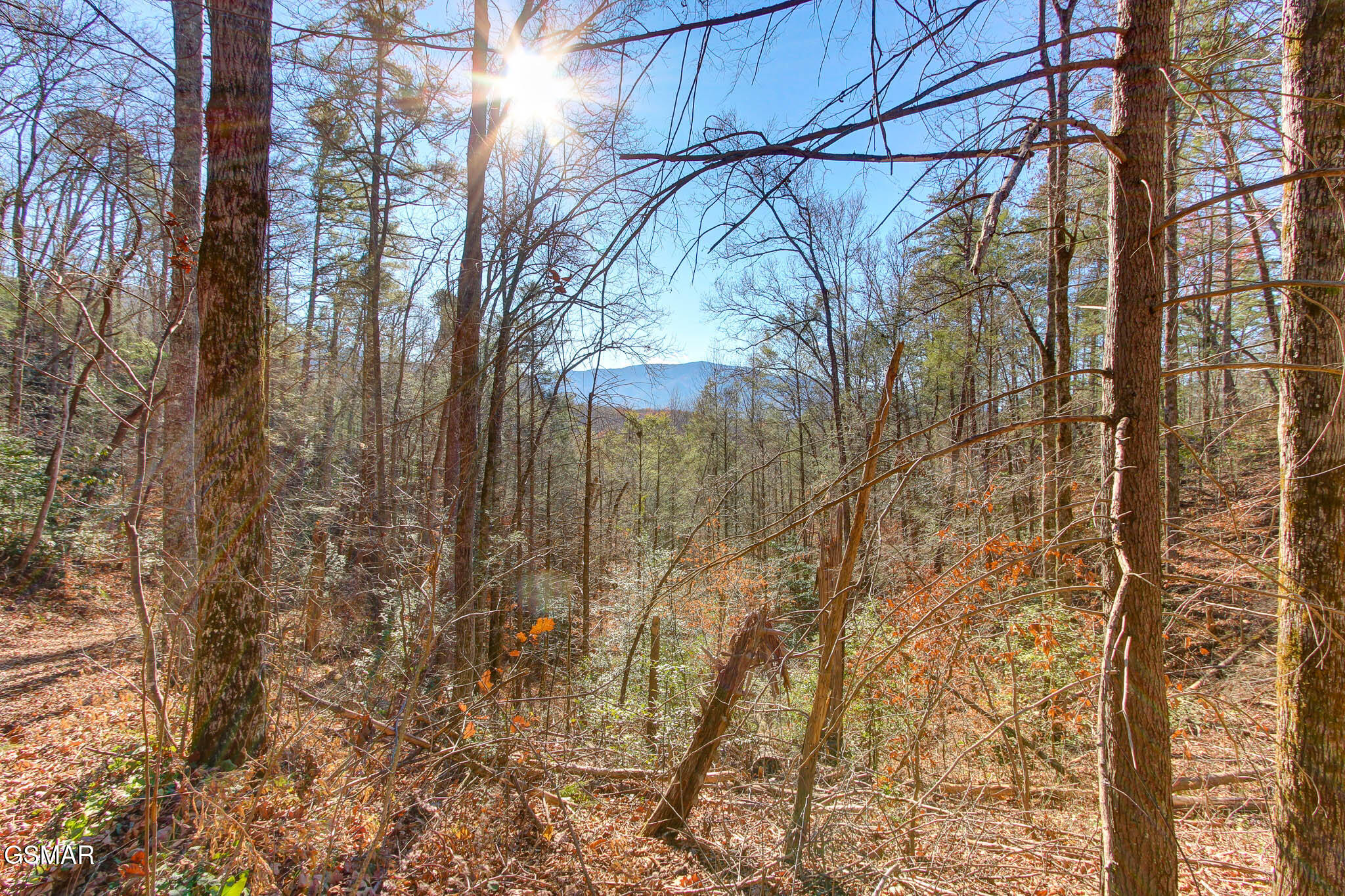 Cosby, Tennessee, 37722, United States, ,Land,For Sale,1978210