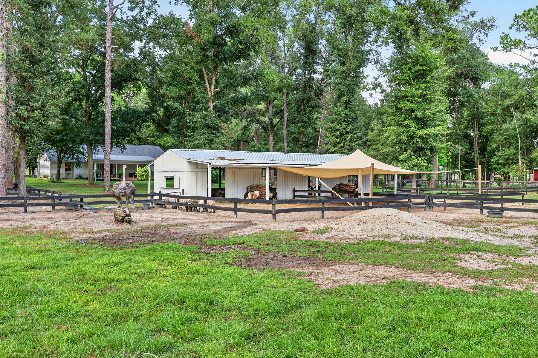  OCALA - 物件實景