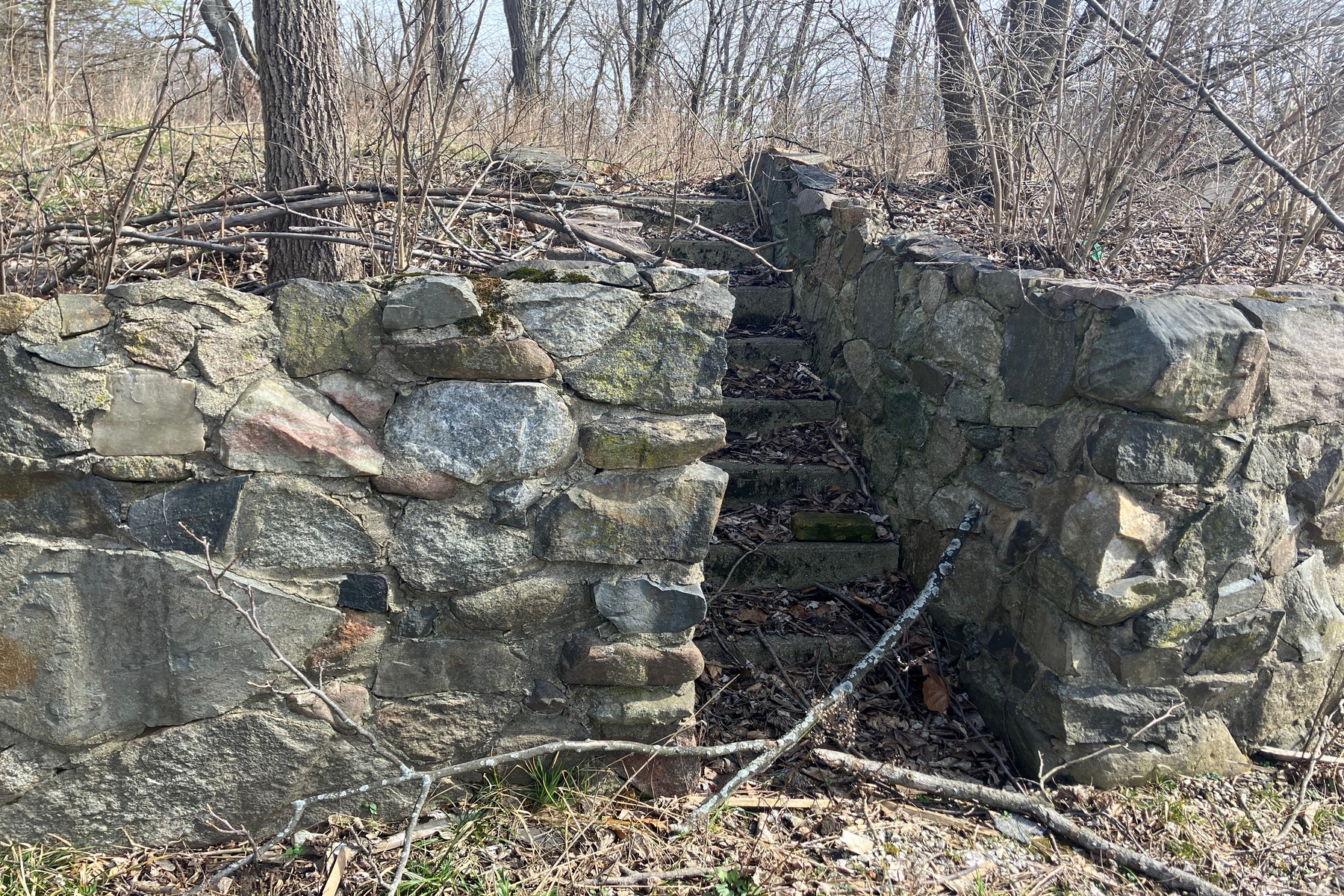  Beautiful Wooded .88 Acre Lot Ready for Your Vision - 物件實景