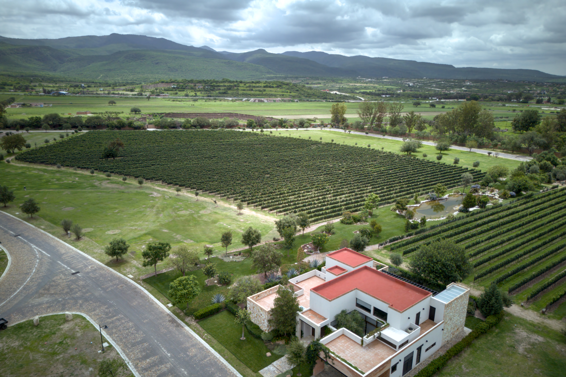  Los Remedios Tempranillo 407 - 物件實景