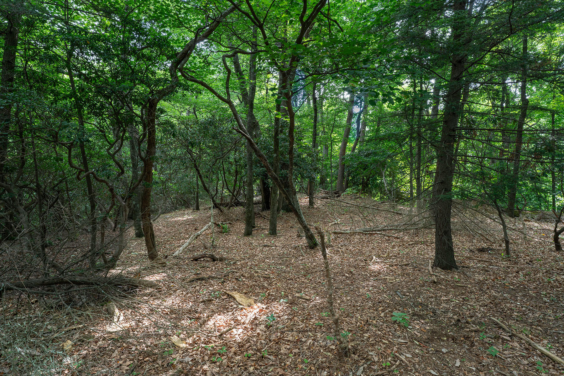  THE ORCHARDS OF MAYVIEW - BLOWING ROCK - 物件實景