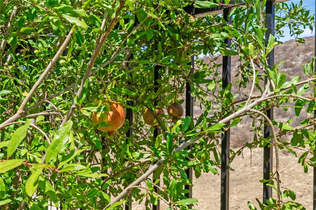 Beaumont, California, 92223, United States, 3 Bedrooms Bedrooms, ,3 BathroomsBathrooms,Residential,For Sale,1979571