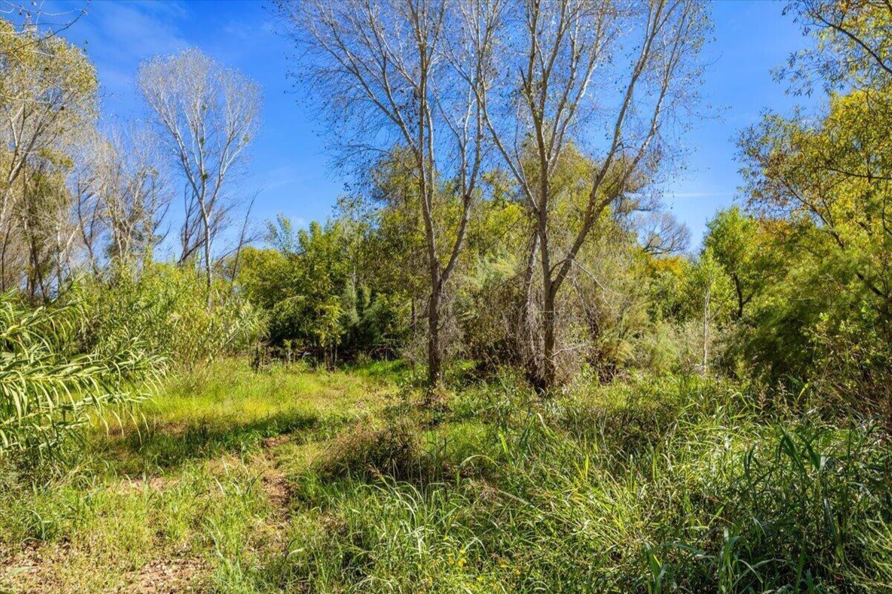  4281 E Sandy Hollow Ln¦Cottonwood, AZ - 物件實景