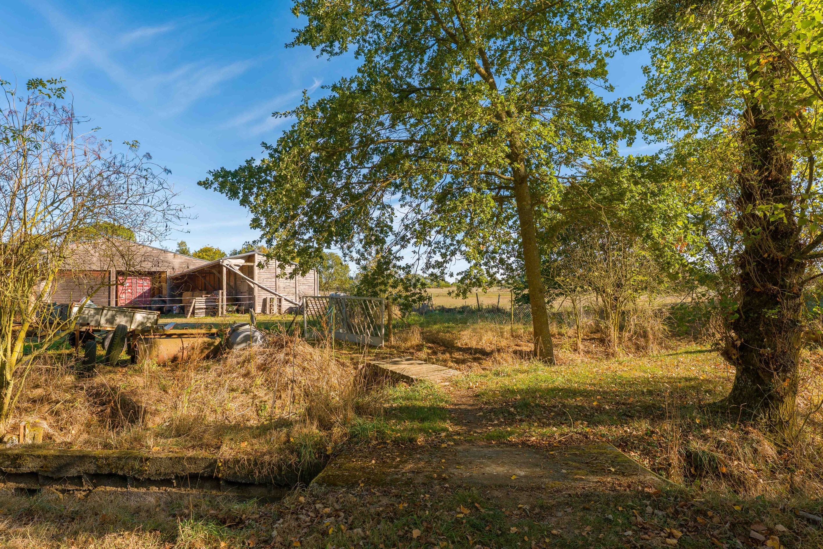  Equestrian property with 9 hectares stables and 2 houses - 物件實景
