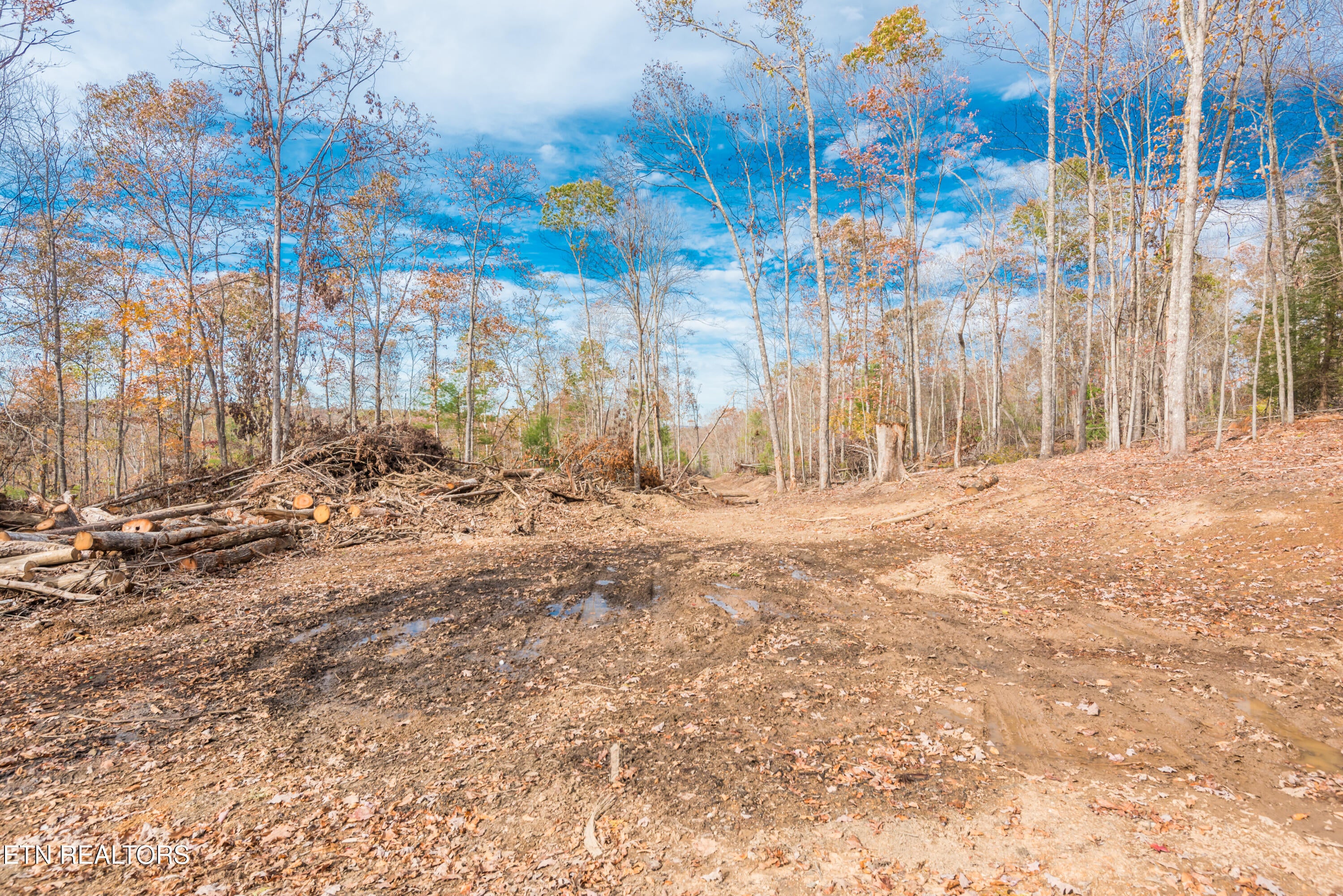 Rockwood, Tennessee, 37854, United States, ,Land,For Sale,1806468