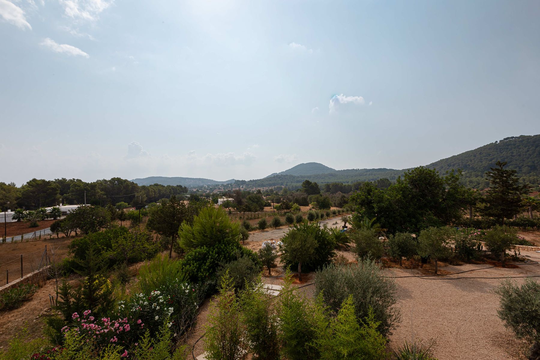  Newly built villa in a private setting in Ibiza - 物件實景