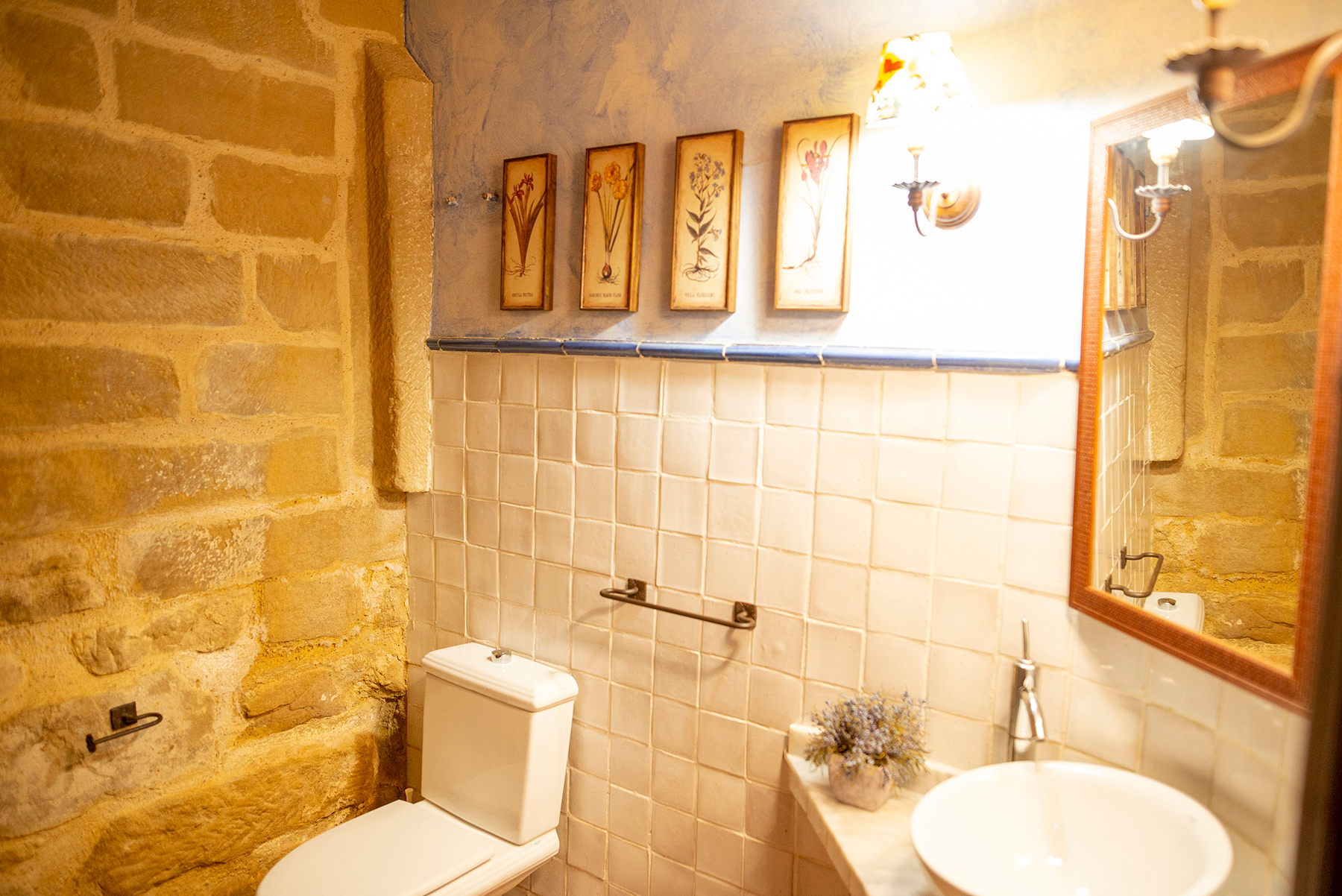  Historic house with private vineyard in the heart of La Rioja - 物件實景