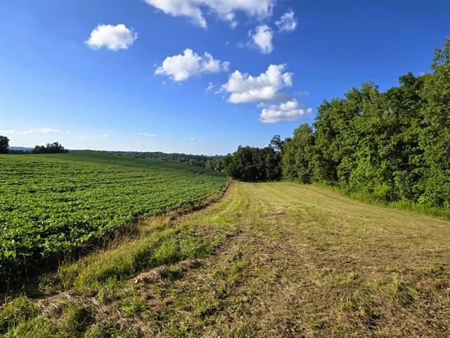 Soldiers Grove, Wisconsin, 54655, United States, ,Residential,For Sale,1904282