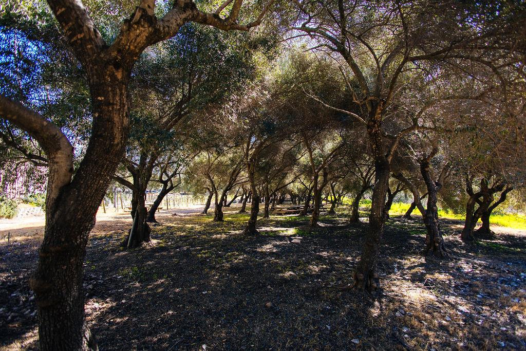 Saint Helena, California, 94574, United States, 4 Bedrooms Bedrooms, ,3 BathroomsBathrooms,Residential,For Sale,1967818