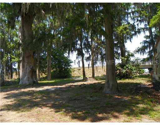 1515 US HIGHWAY 441, TAVARES, Florida, 32778, United States, ,Residential,For Sale,1515 US HIGHWAY 441,1008676