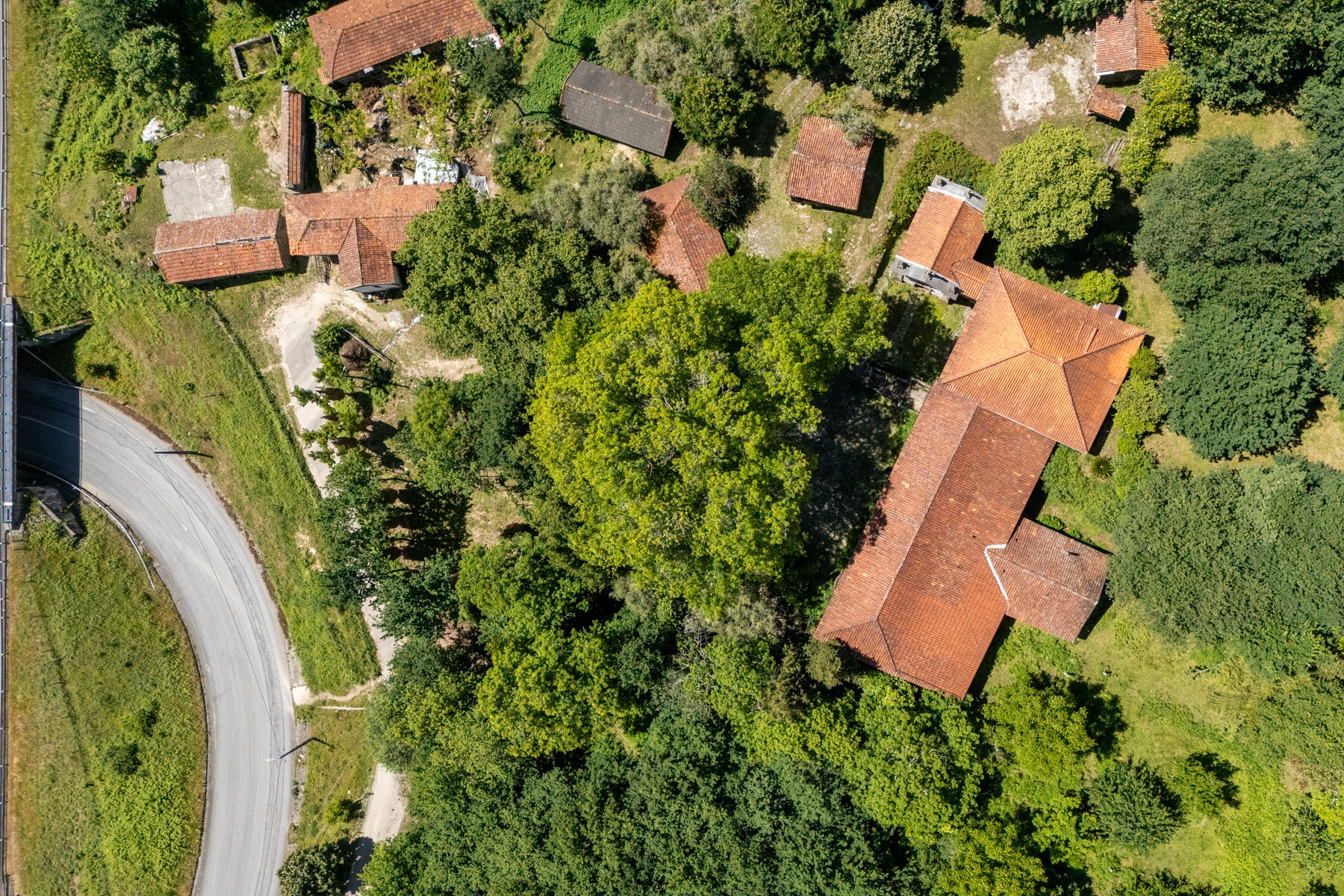  Farm for Sale - 物件實景