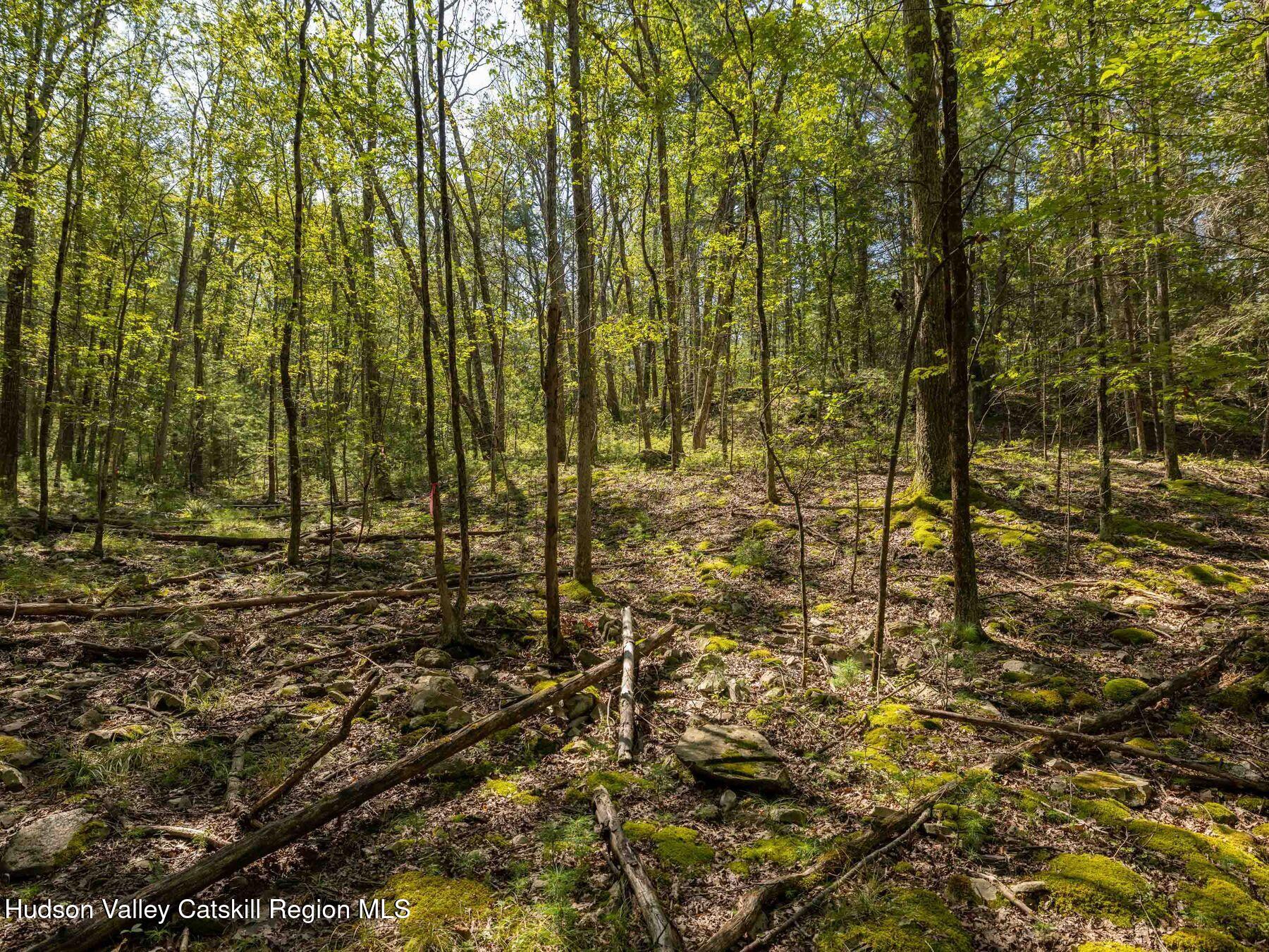 Hurley, New York, 12443, United States, ,Residential,For Sale,1947114