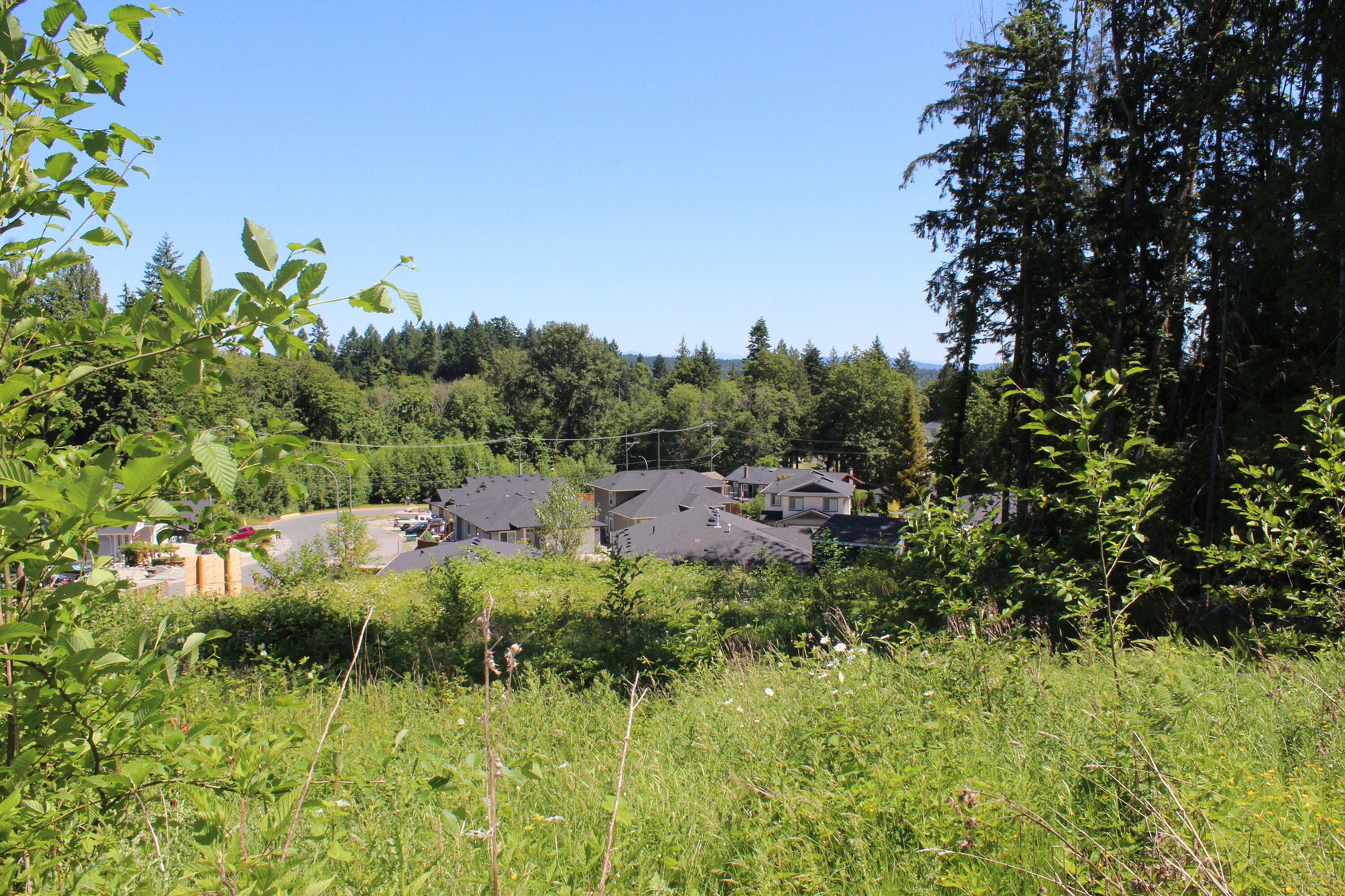  Development Lot in Ladysmith - 物件實景