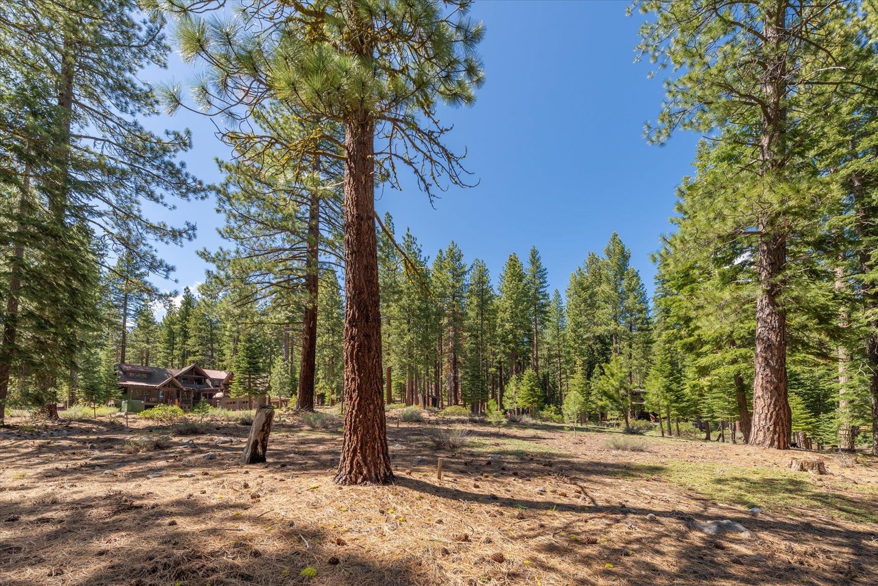 Truckee, California, 96161, United States, ,Land,For Sale,1828145