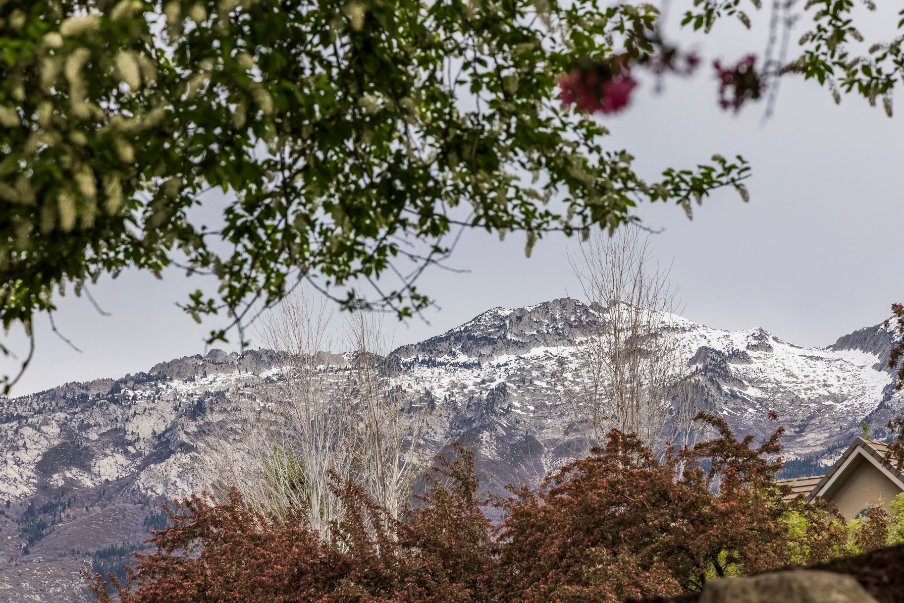  Unmatched Alpine Views - 物件實景
