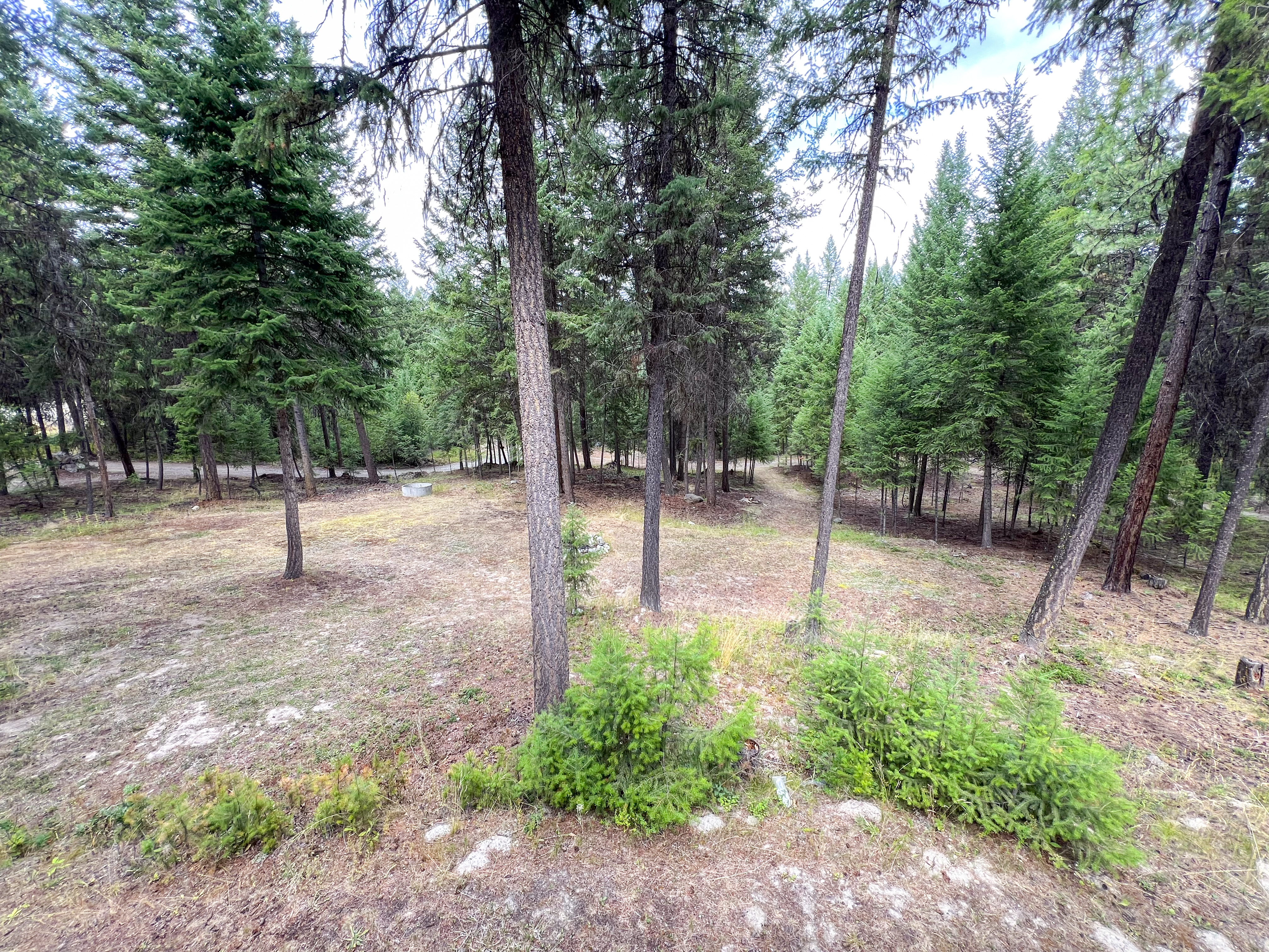 Republic, Washington, 99166, United States, 3 Bedrooms Bedrooms, ,3 BathroomsBathrooms,Residential,For Sale,1976903